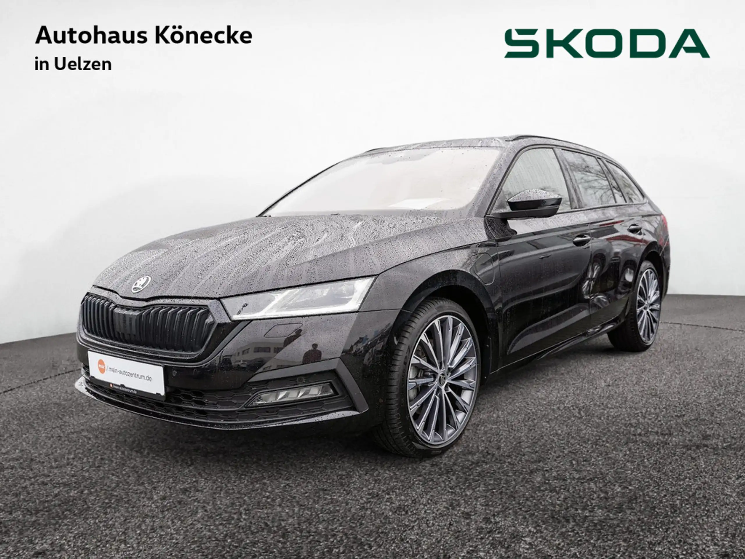 Skoda - Octavia