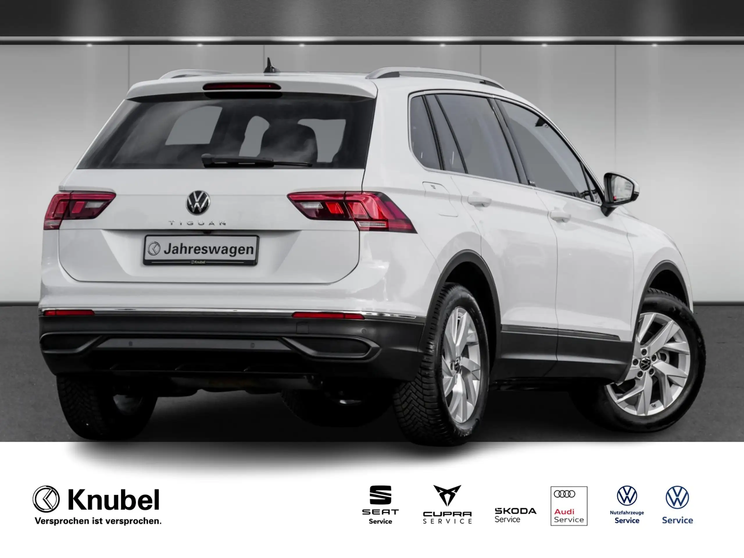 Volkswagen - Tiguan