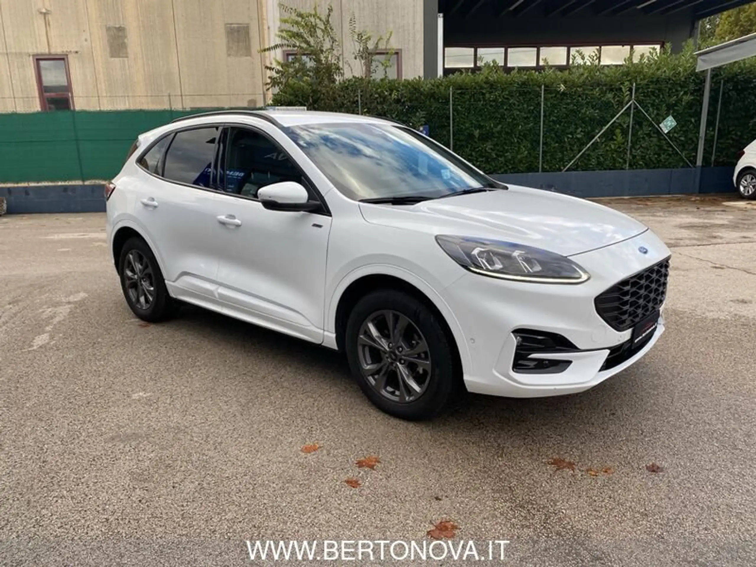 Ford - Kuga