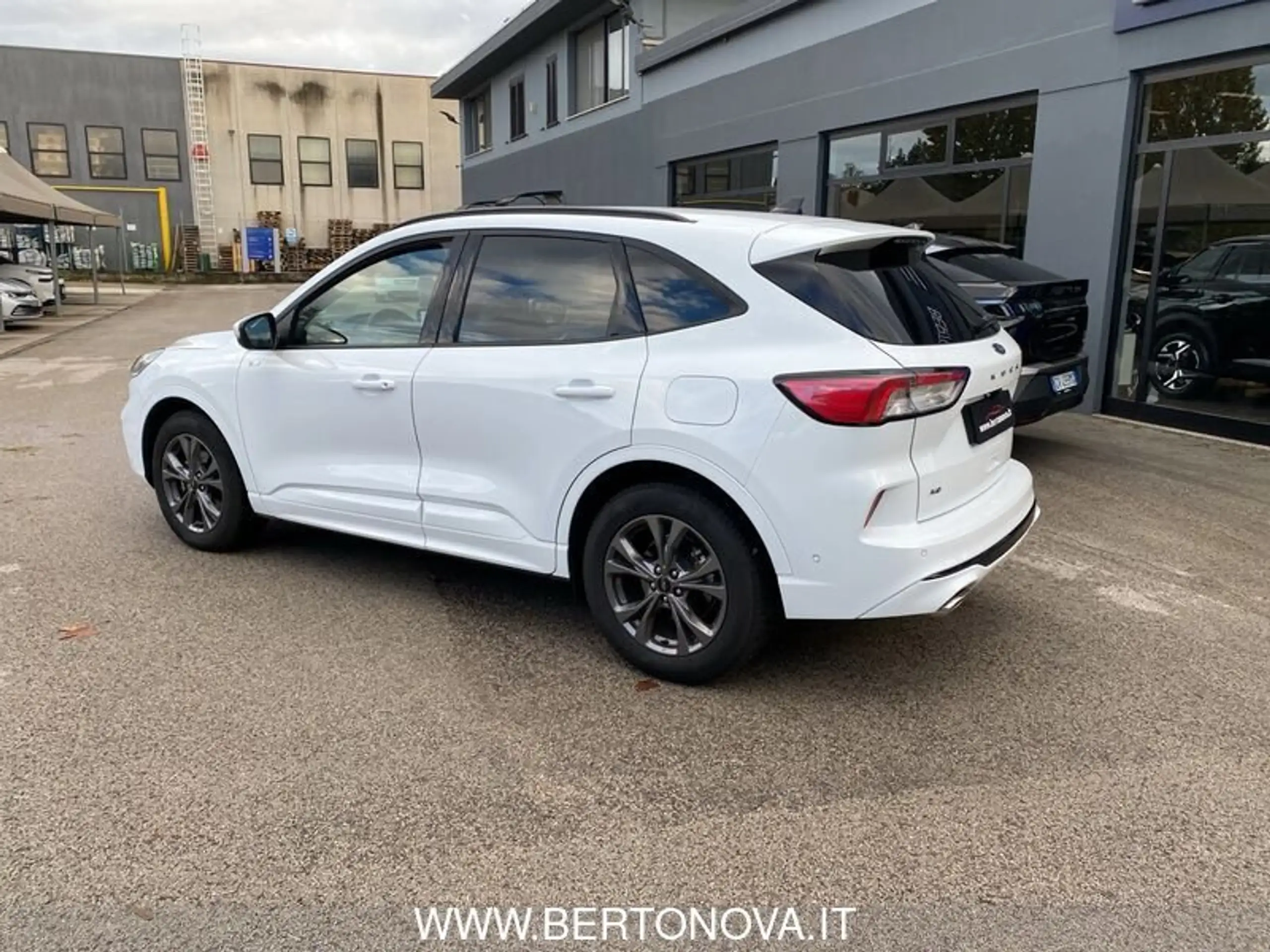 Ford - Kuga