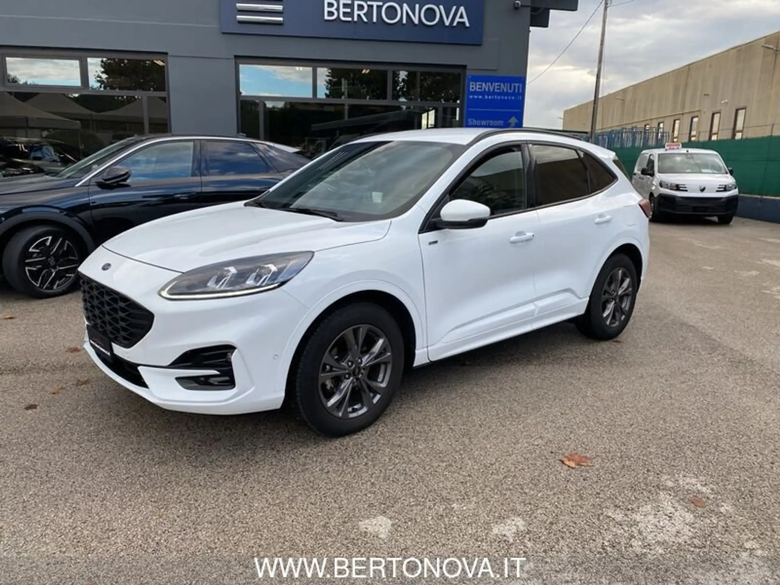 Ford - Kuga