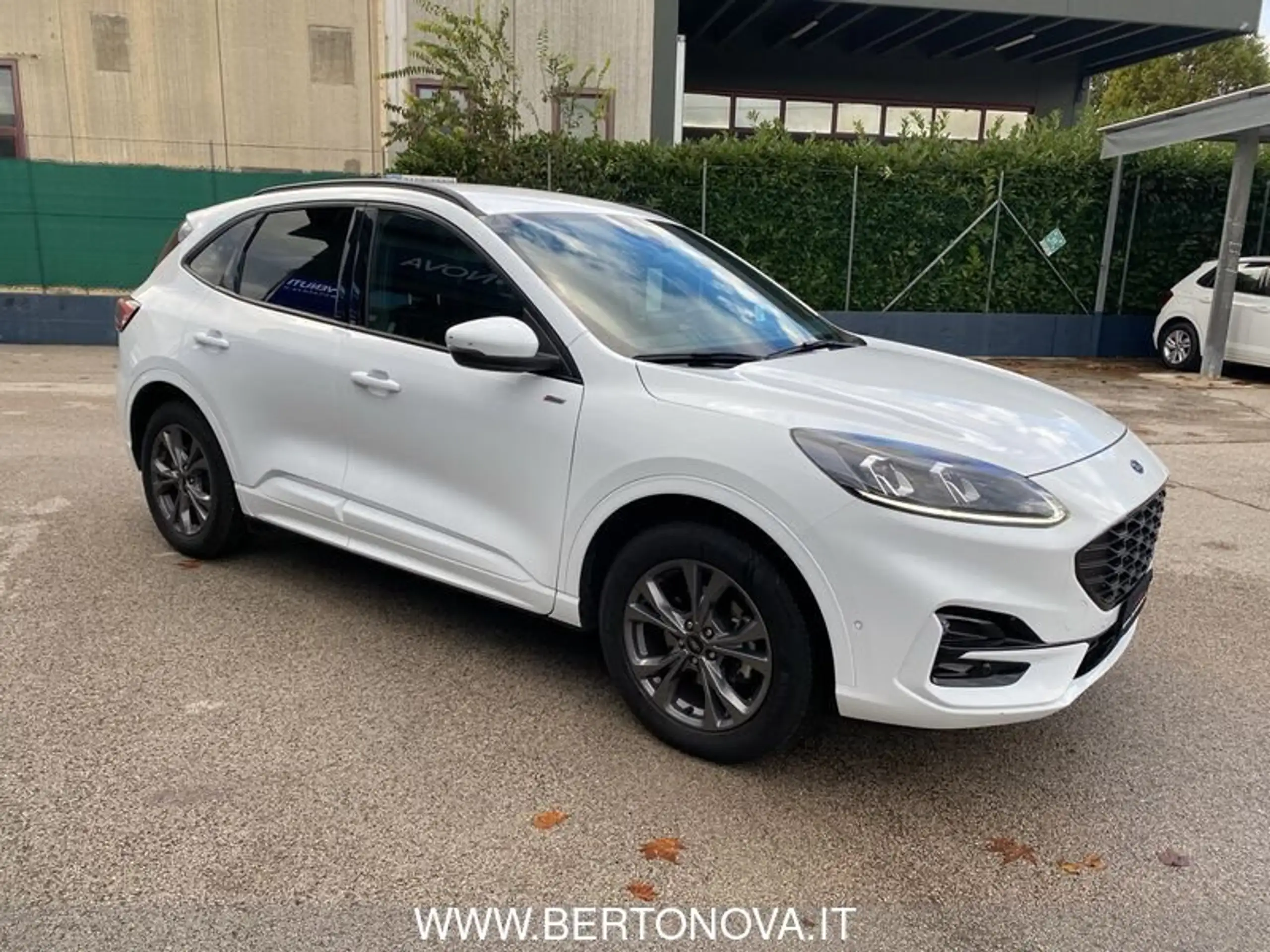 Ford - Kuga