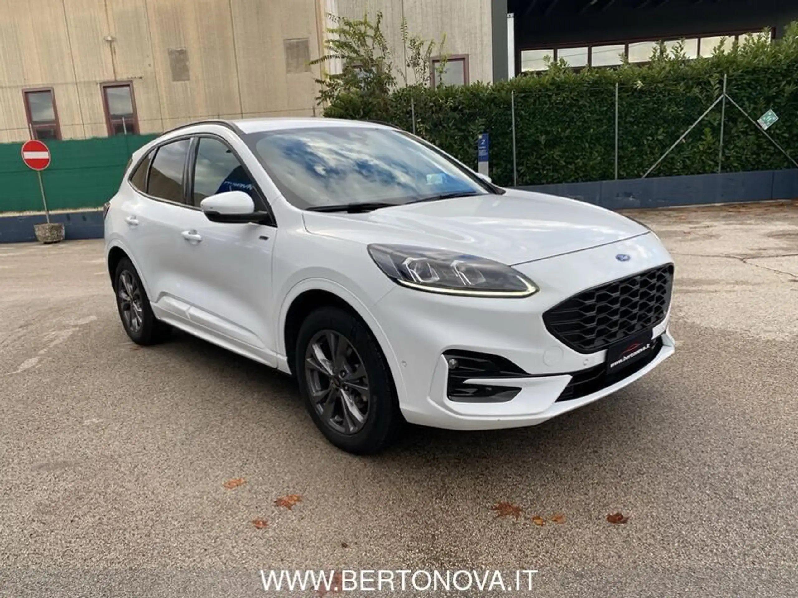 Ford - Kuga