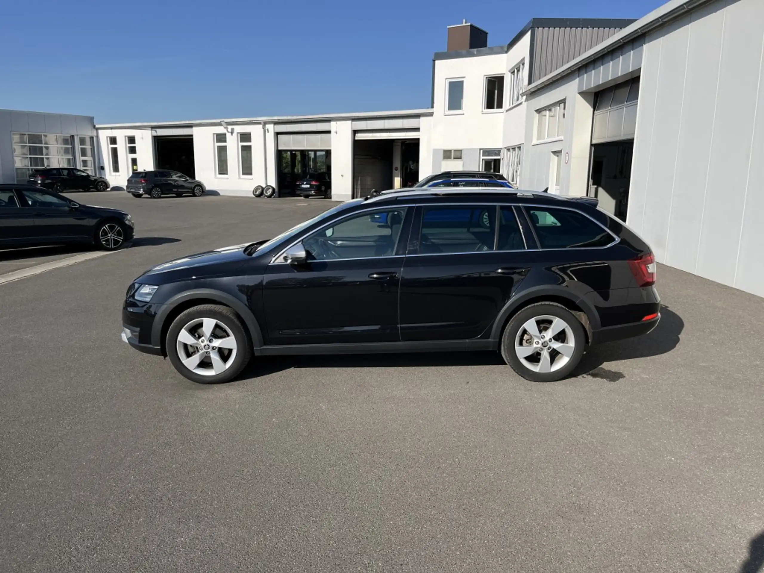 Skoda - Octavia