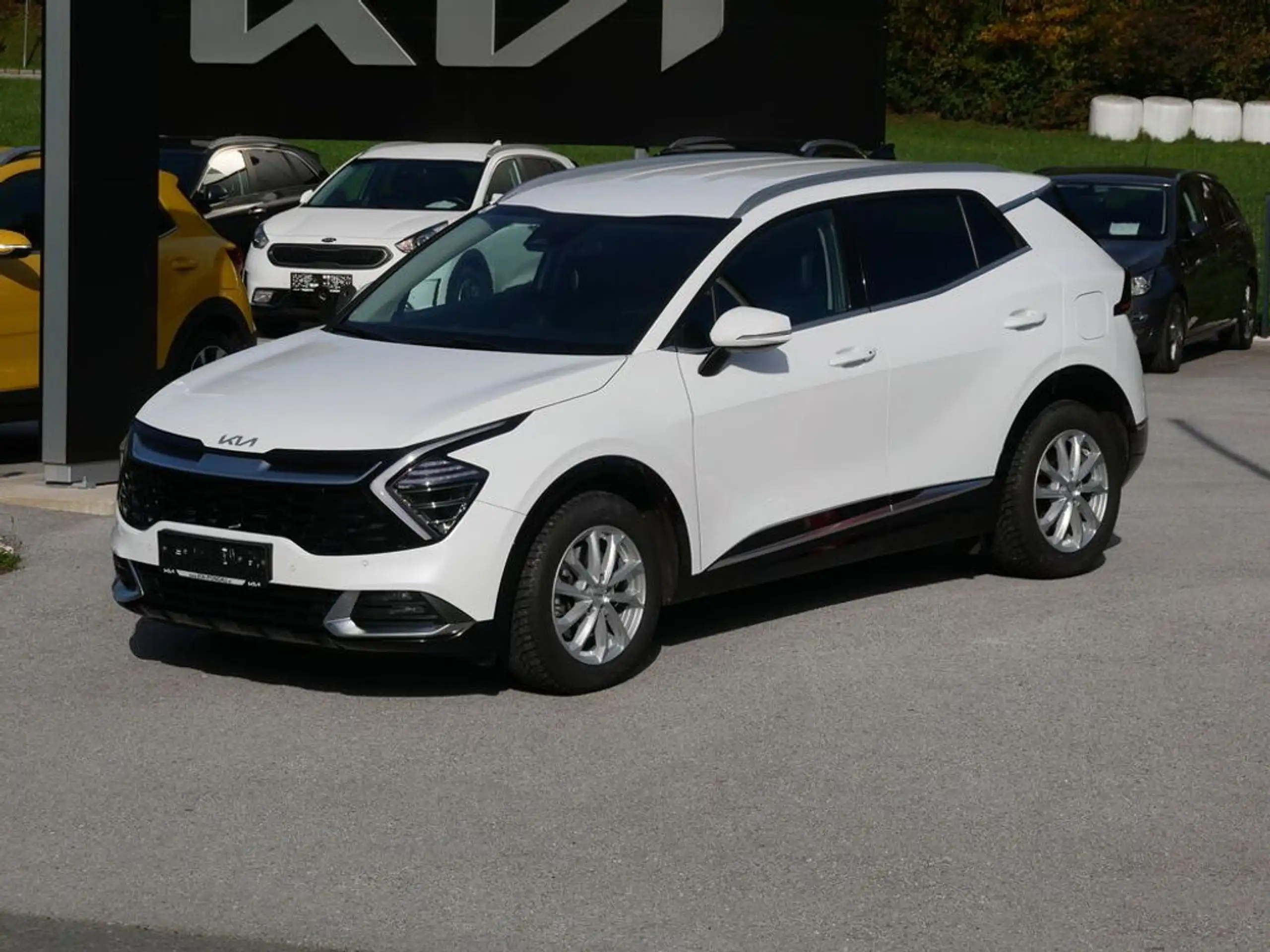 Kia - Sportage