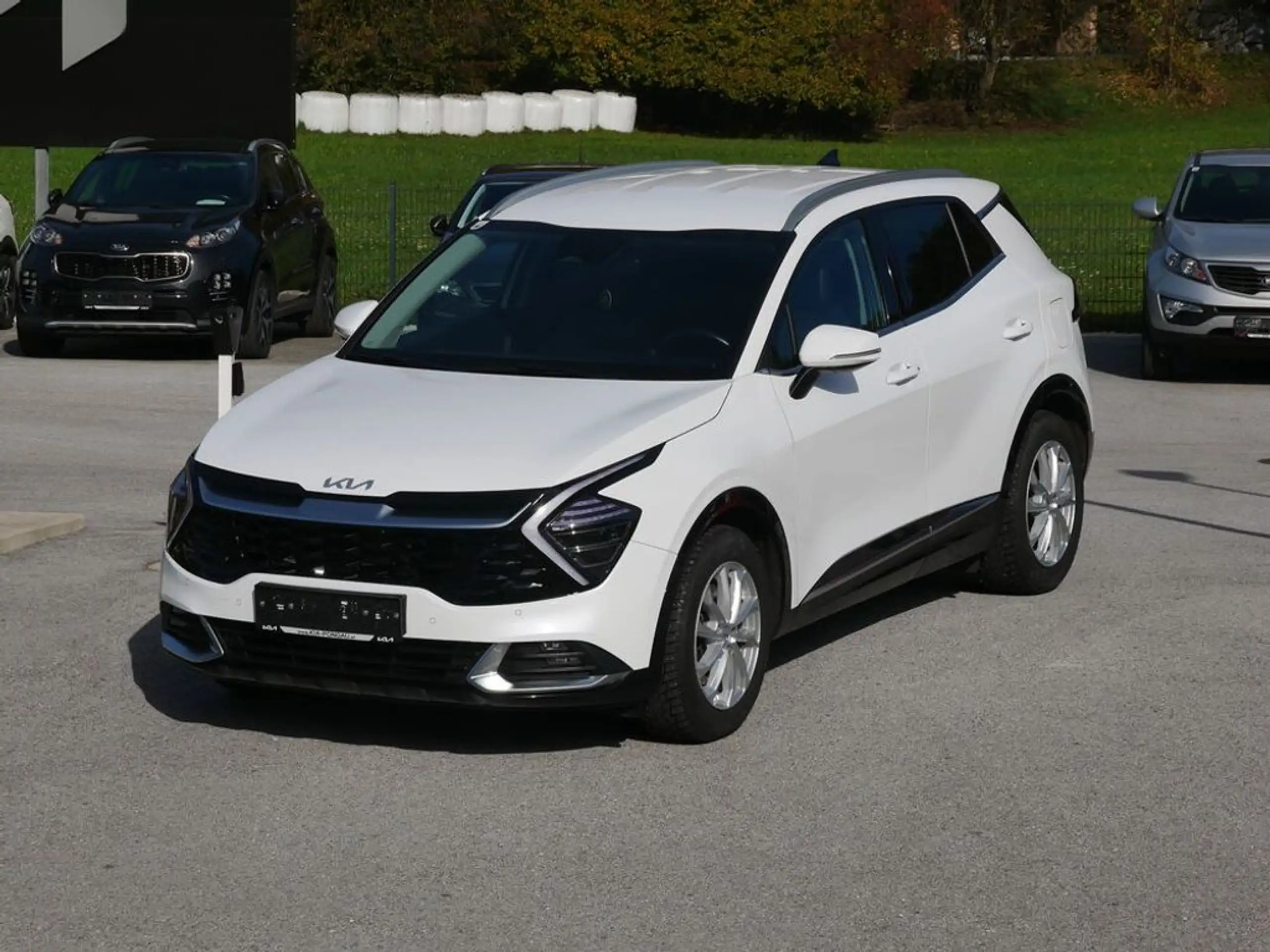 Kia - Sportage