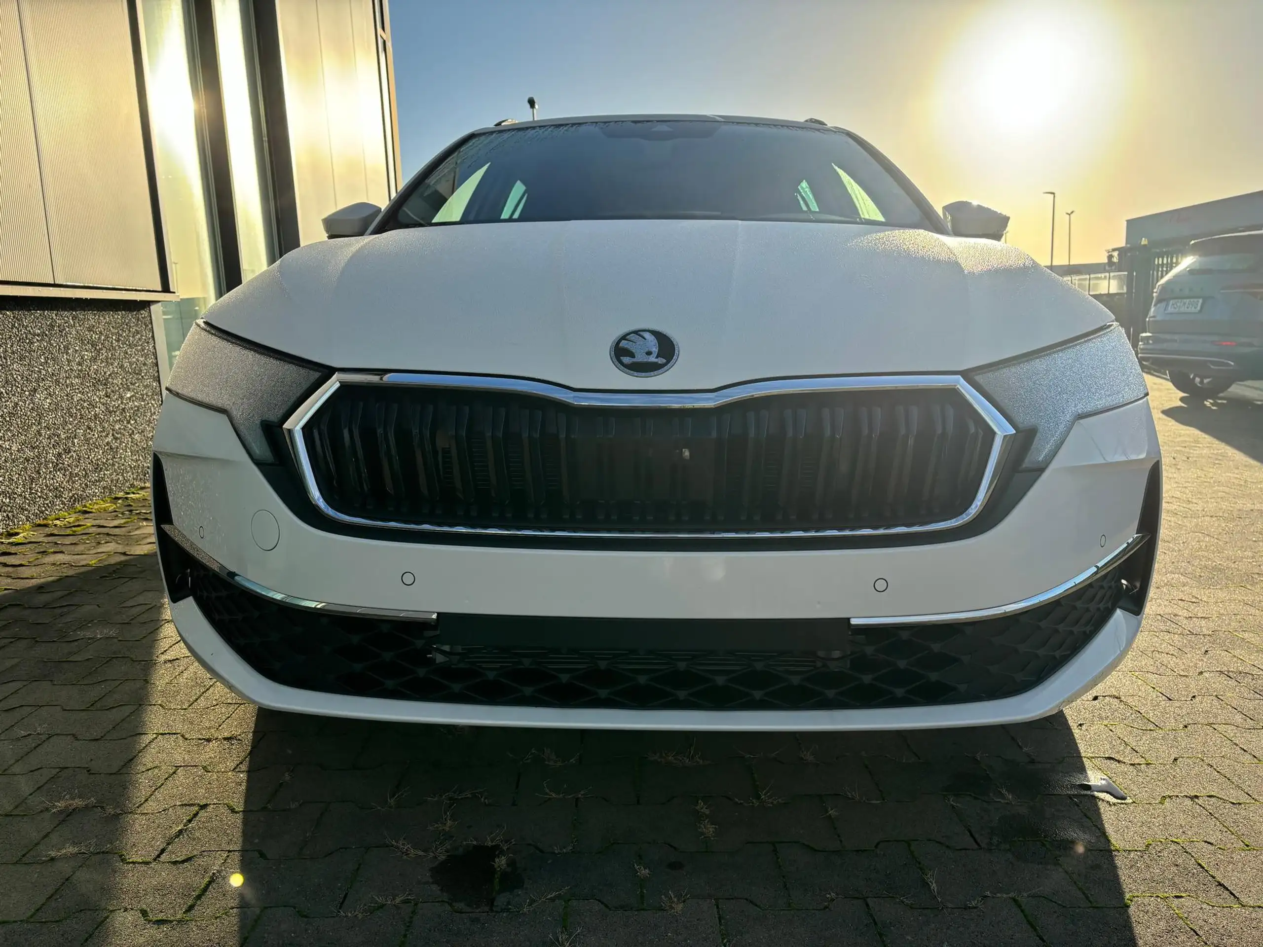 Skoda - Octavia