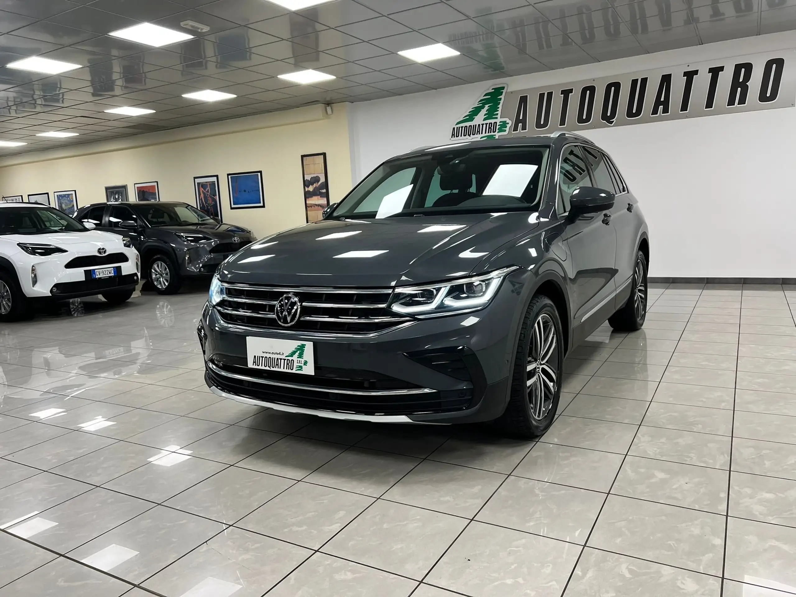 Volkswagen - Tiguan