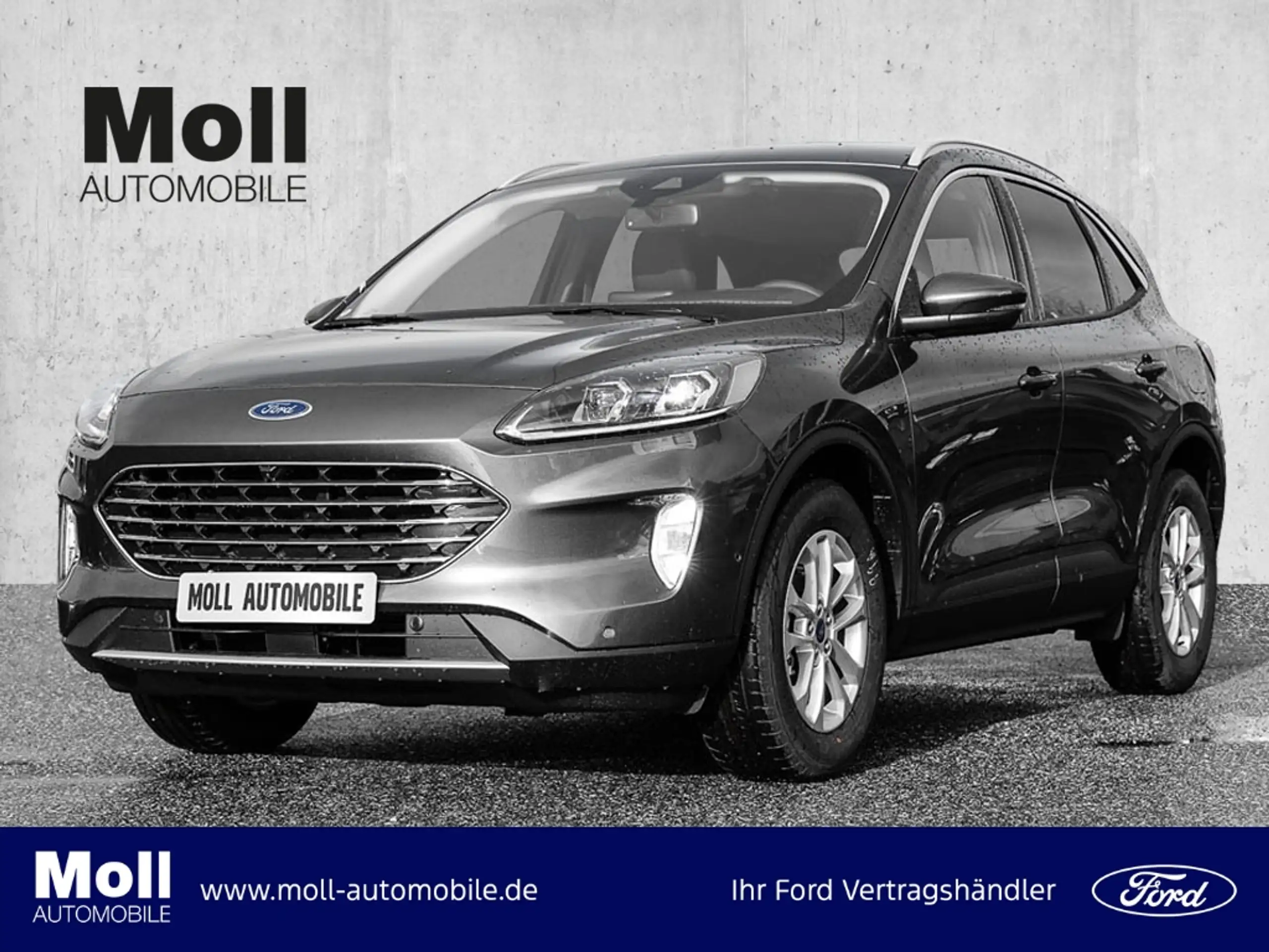 Ford - Kuga