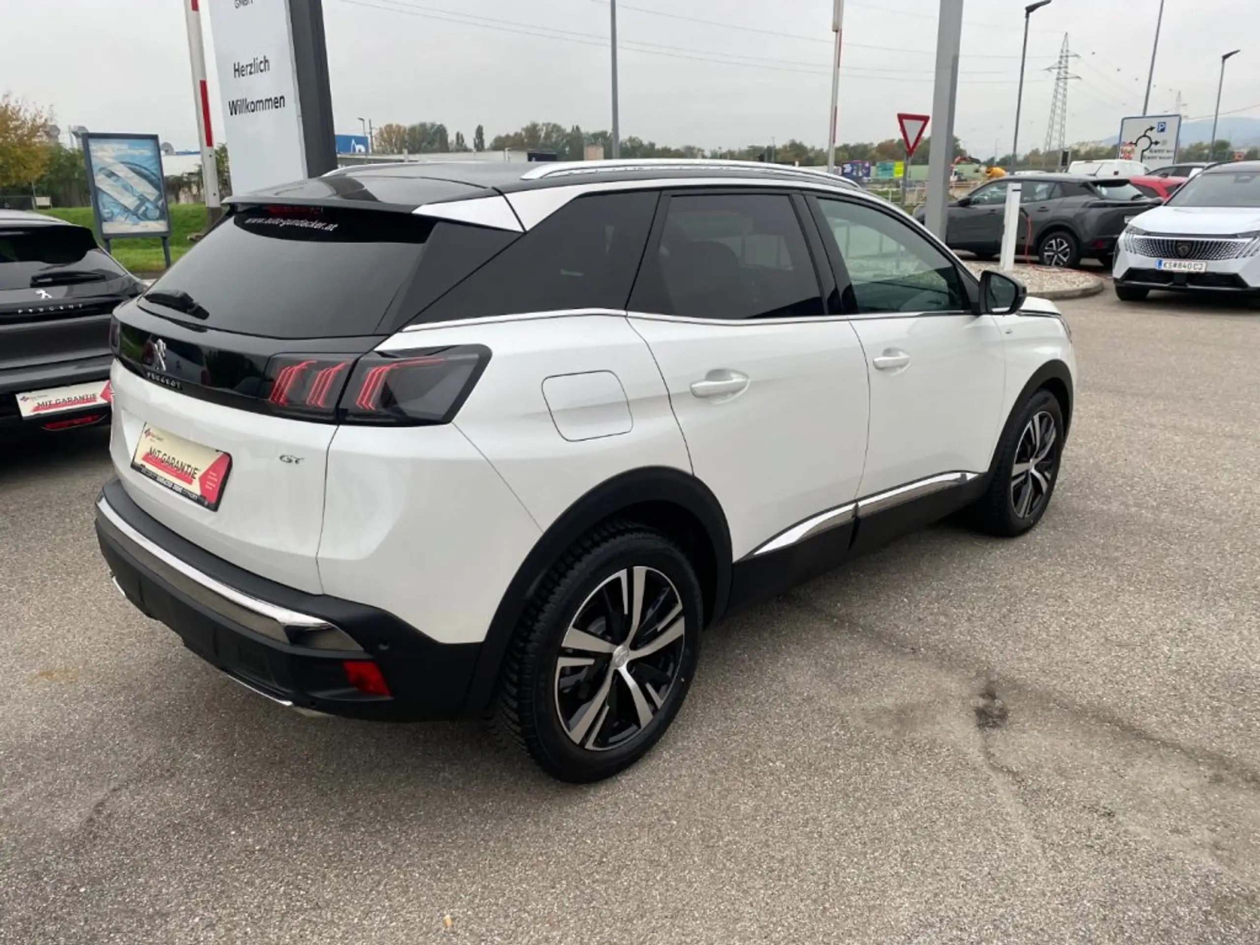 Peugeot - 3008