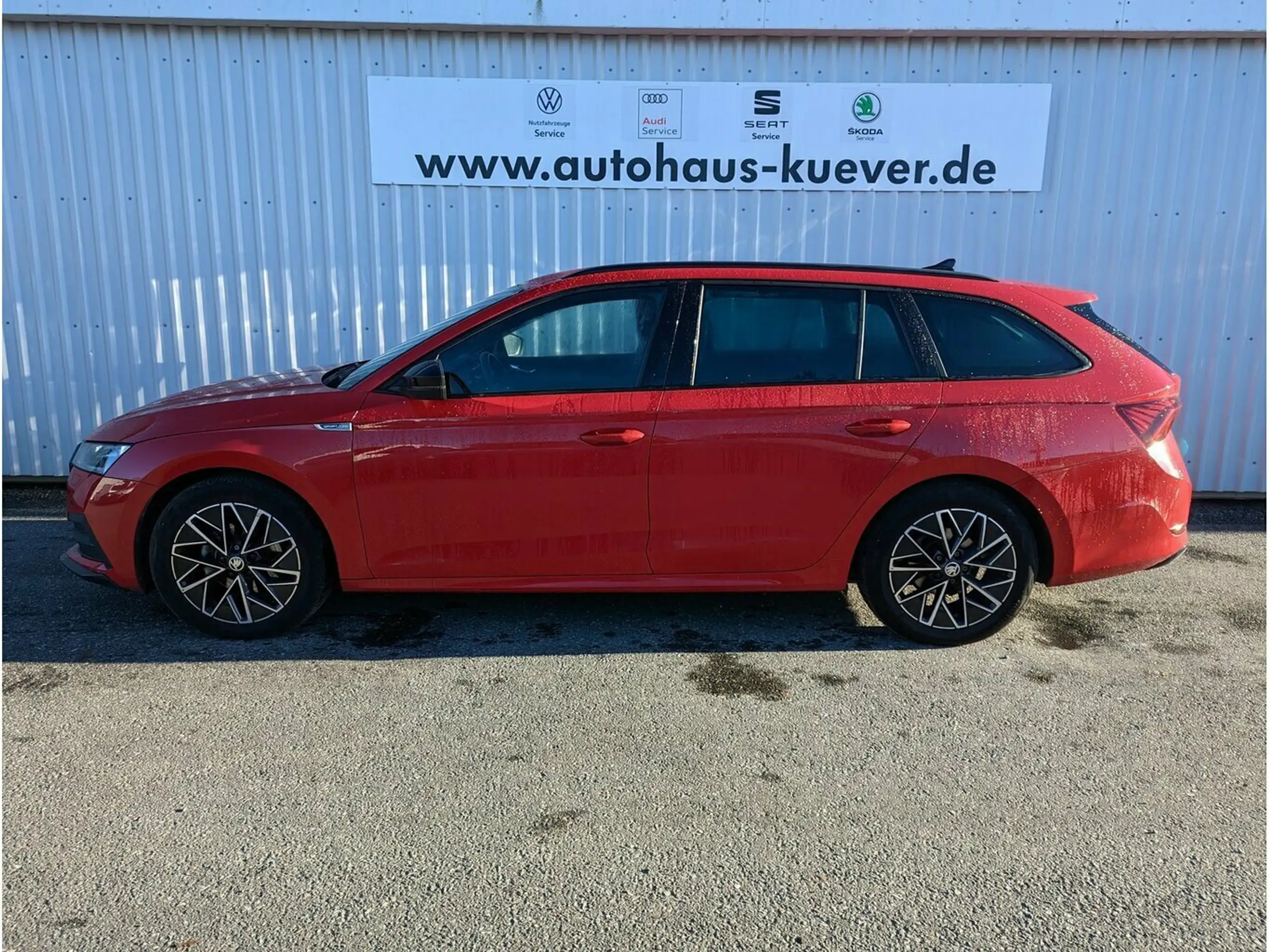 Skoda - Octavia