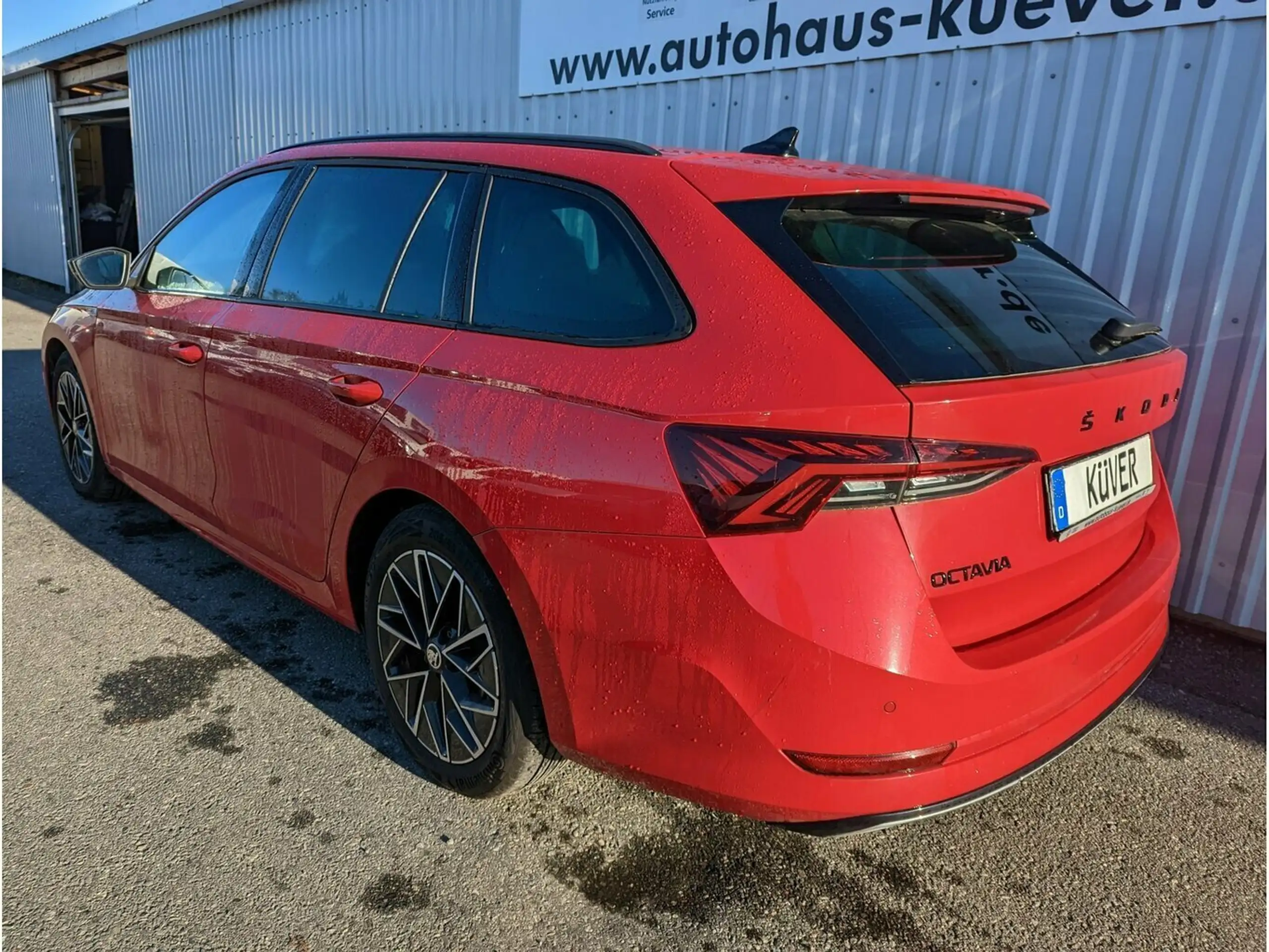 Skoda - Octavia