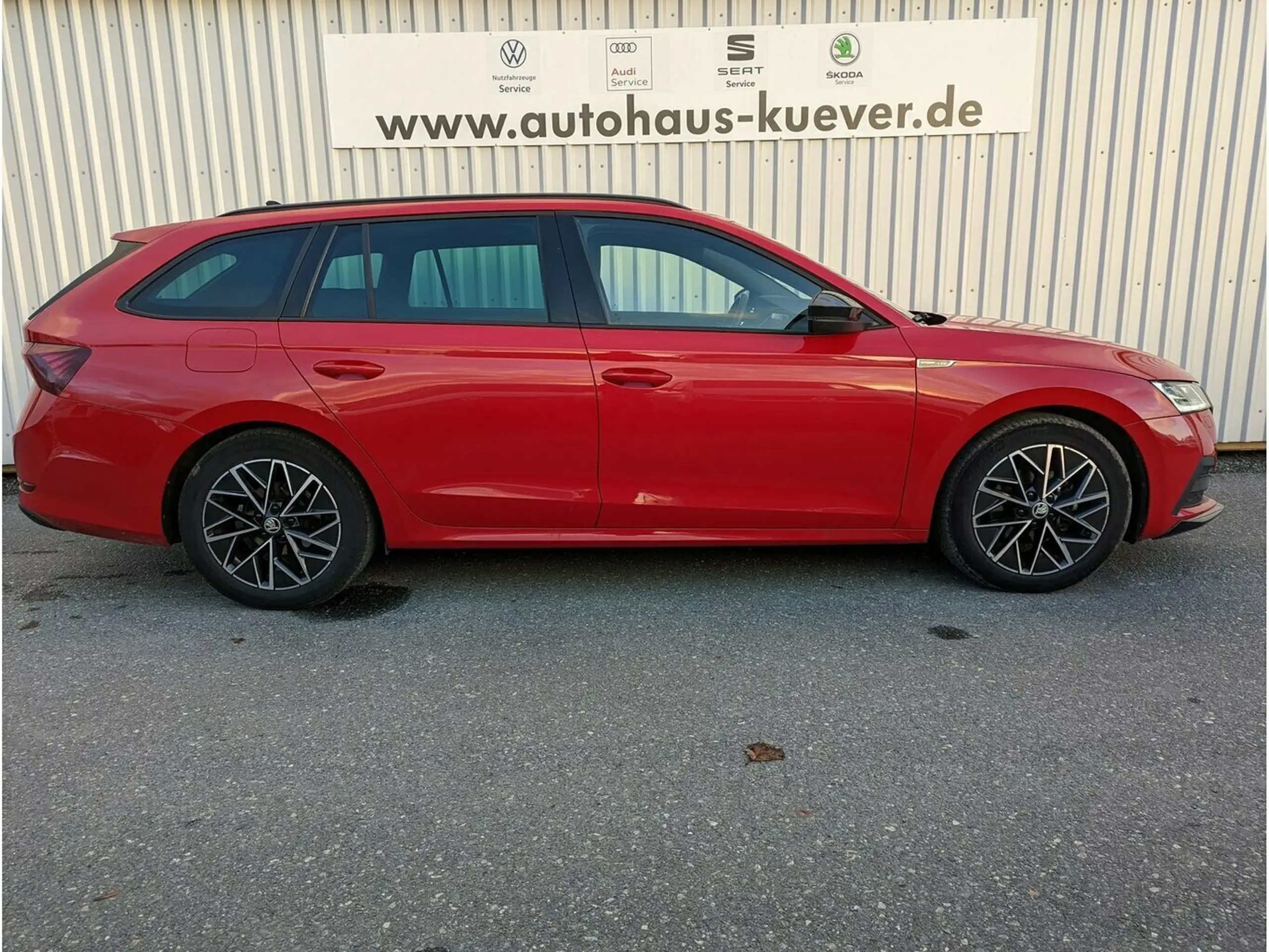 Skoda - Octavia