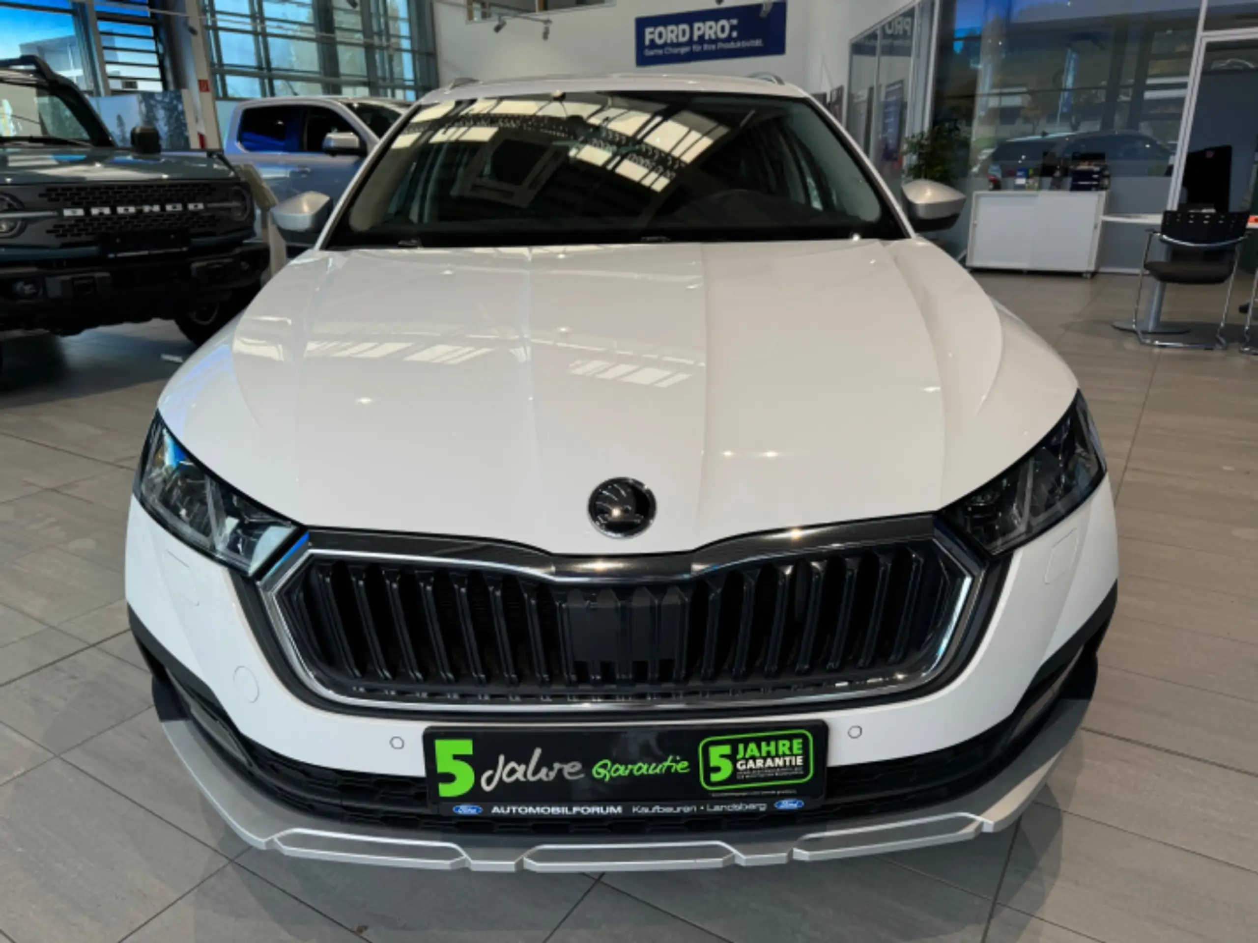 Skoda - Octavia