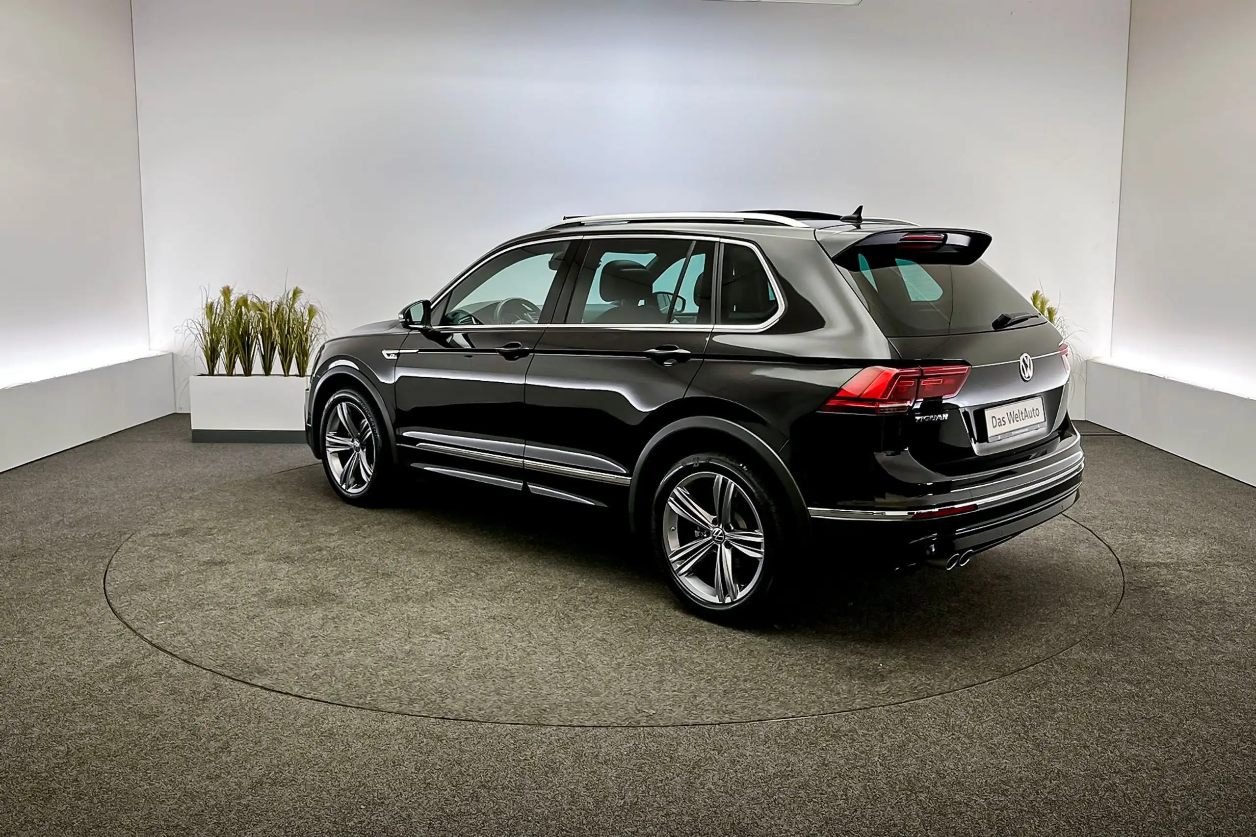 Volkswagen - Tiguan