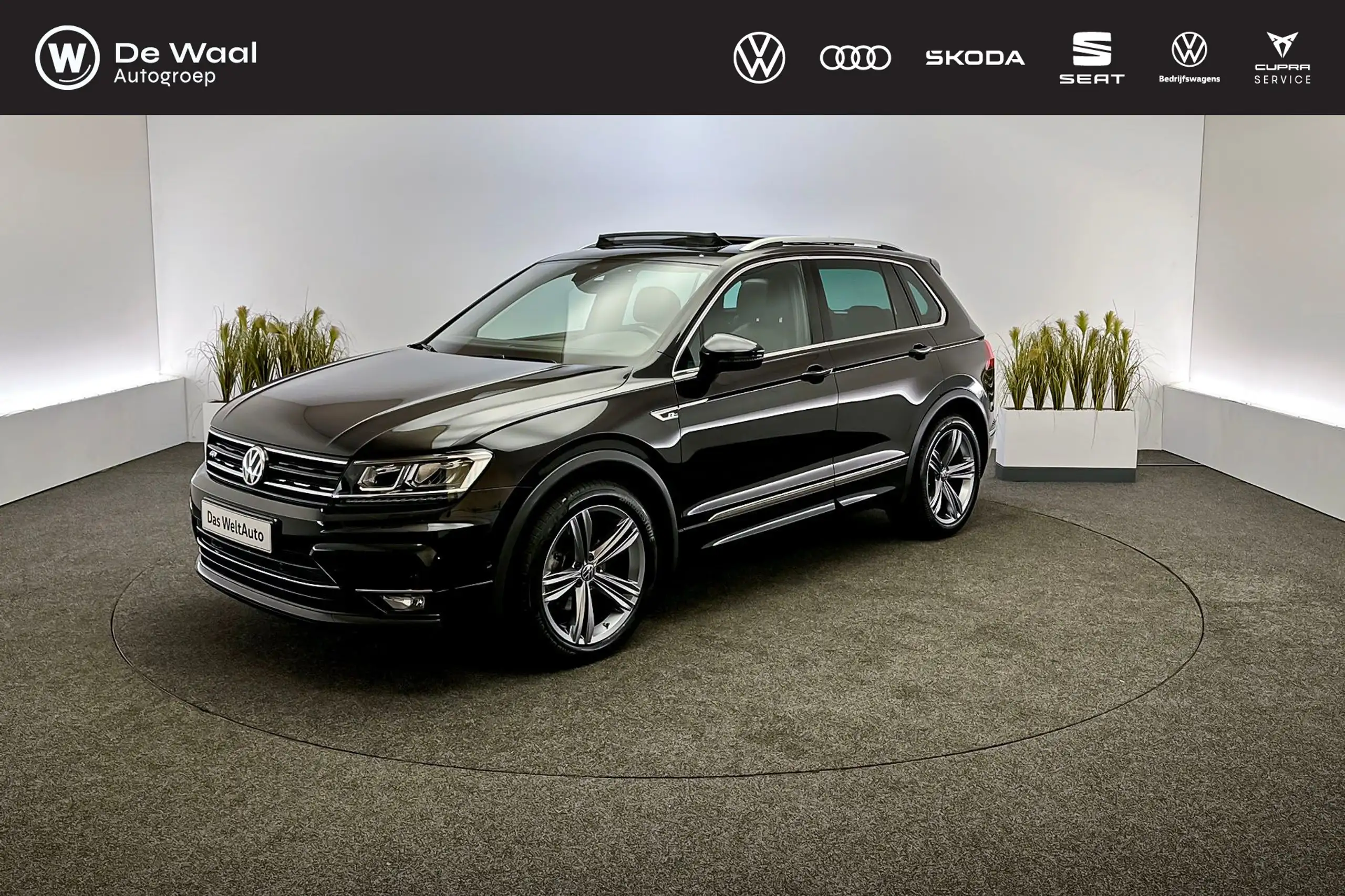 Volkswagen - Tiguan