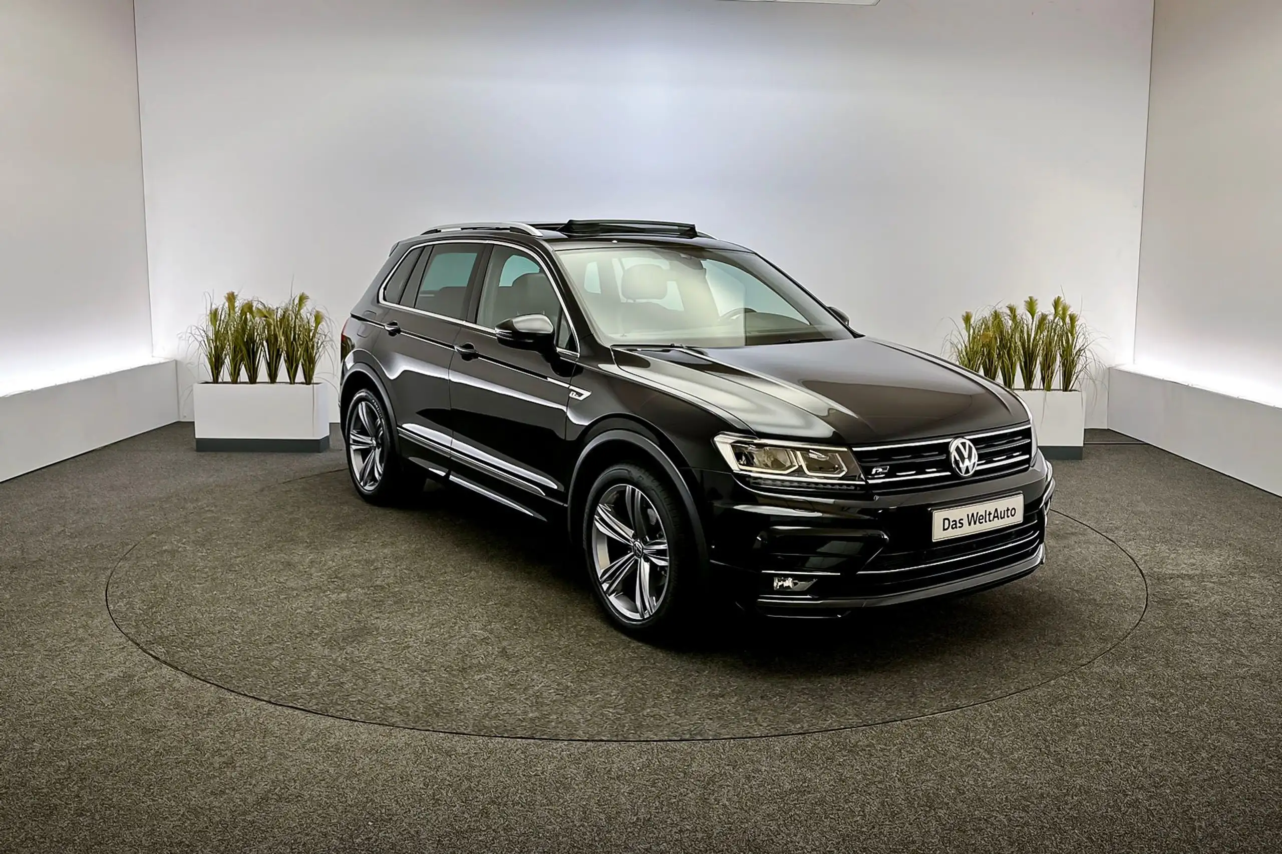 Volkswagen - Tiguan