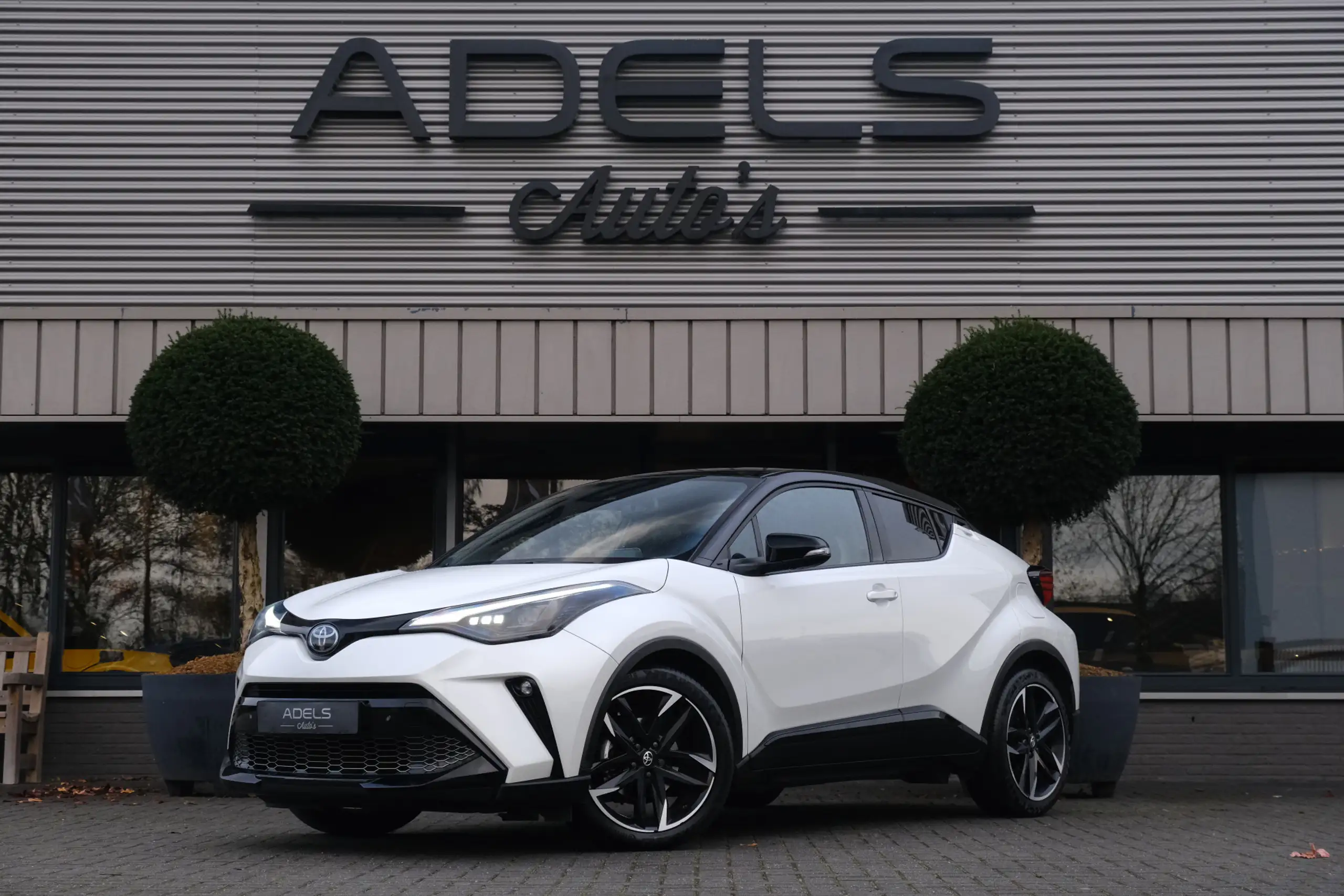 Toyota - C-HR