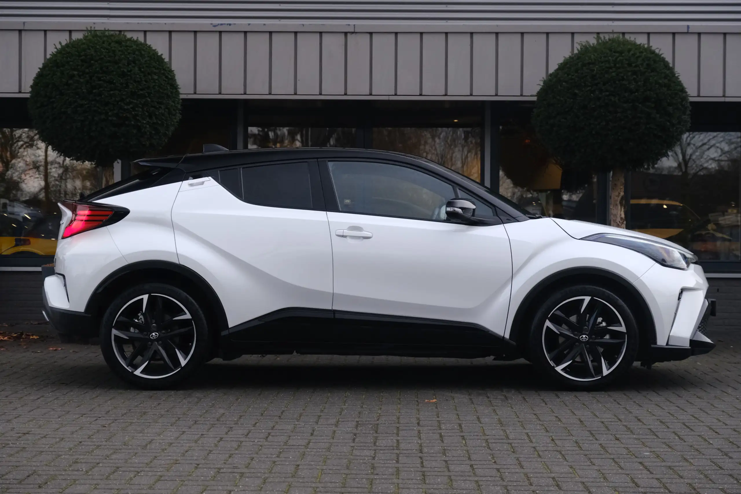 Toyota - C-HR