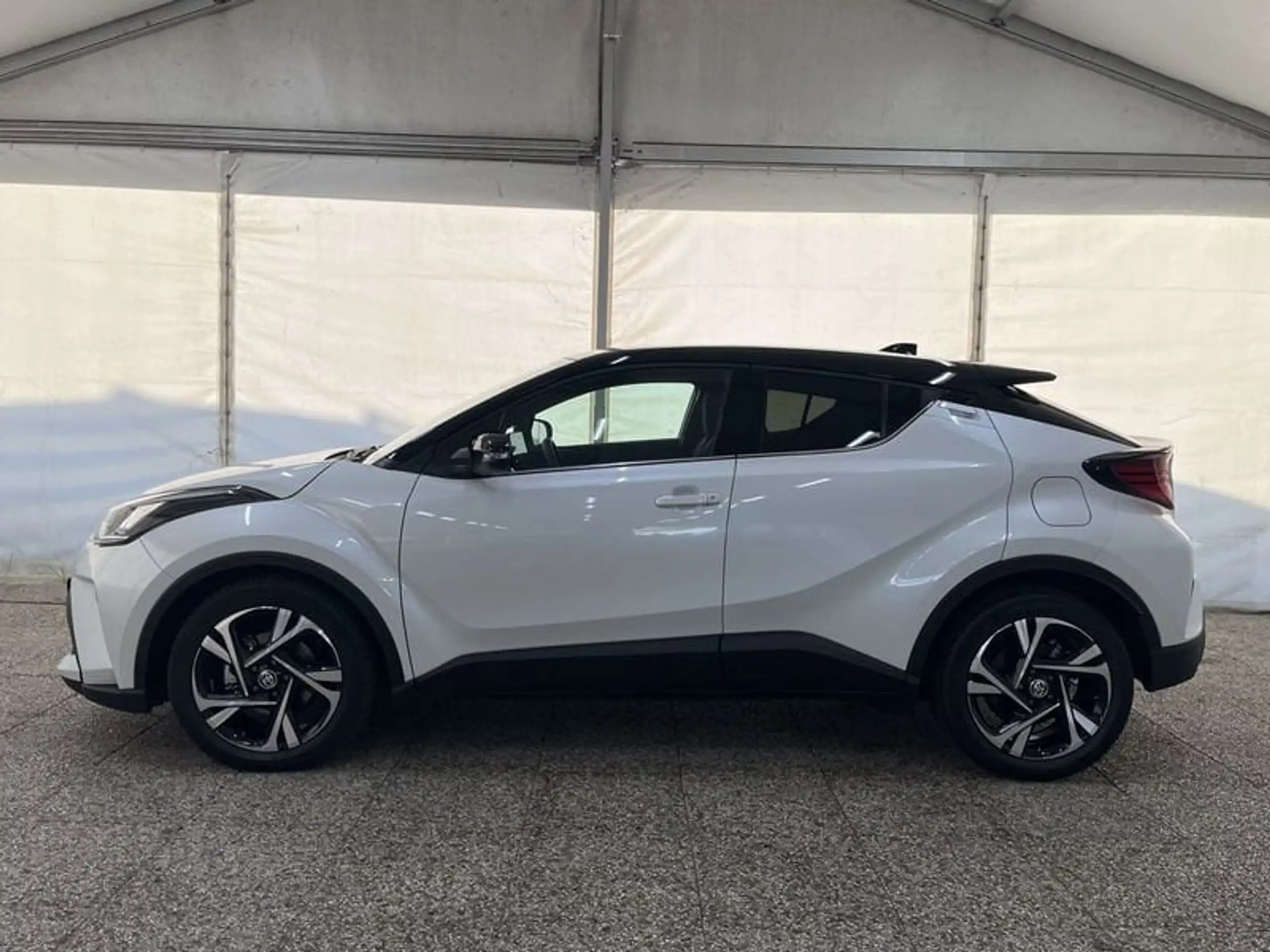 Toyota - C-HR