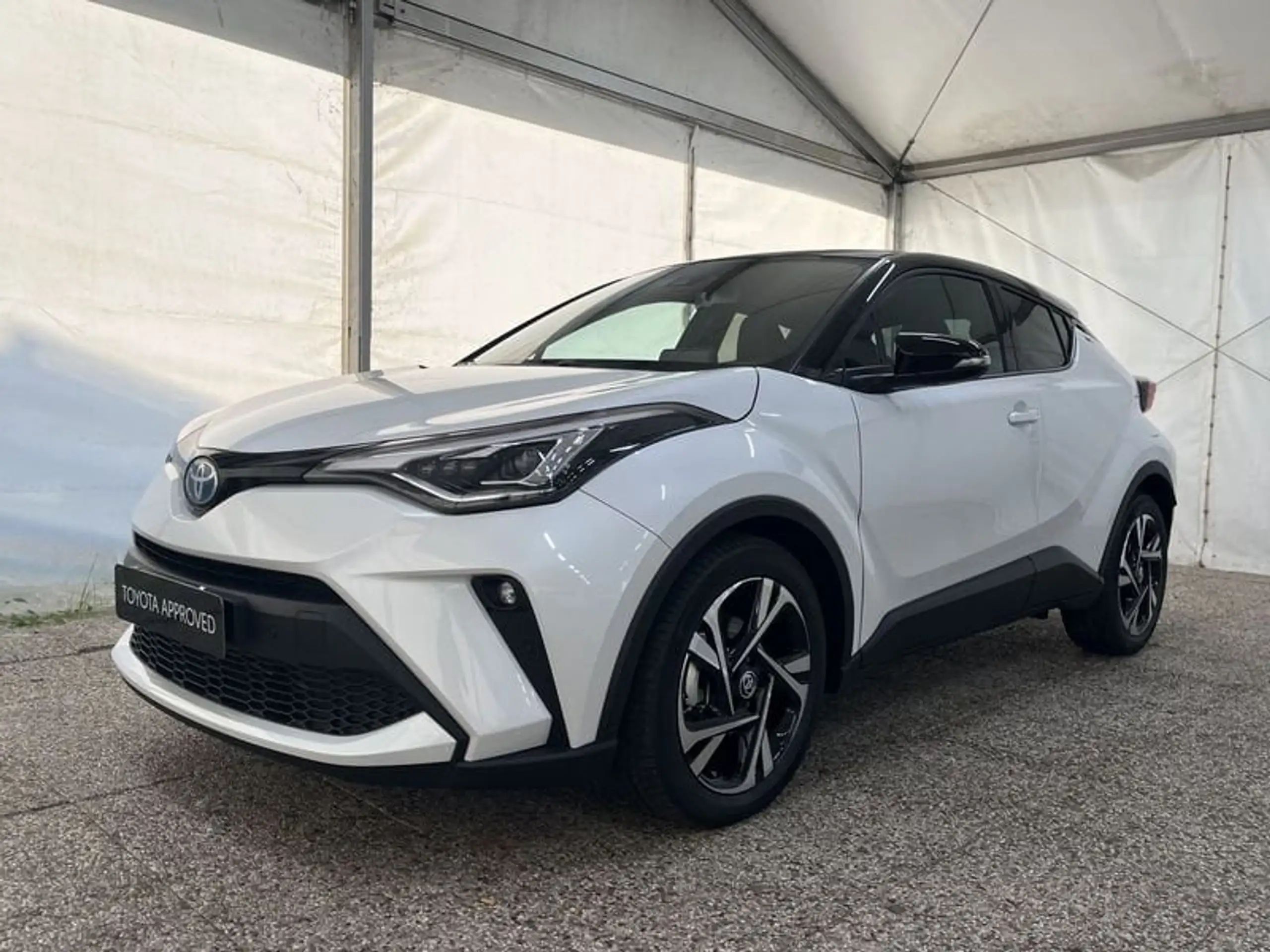 Toyota - C-HR