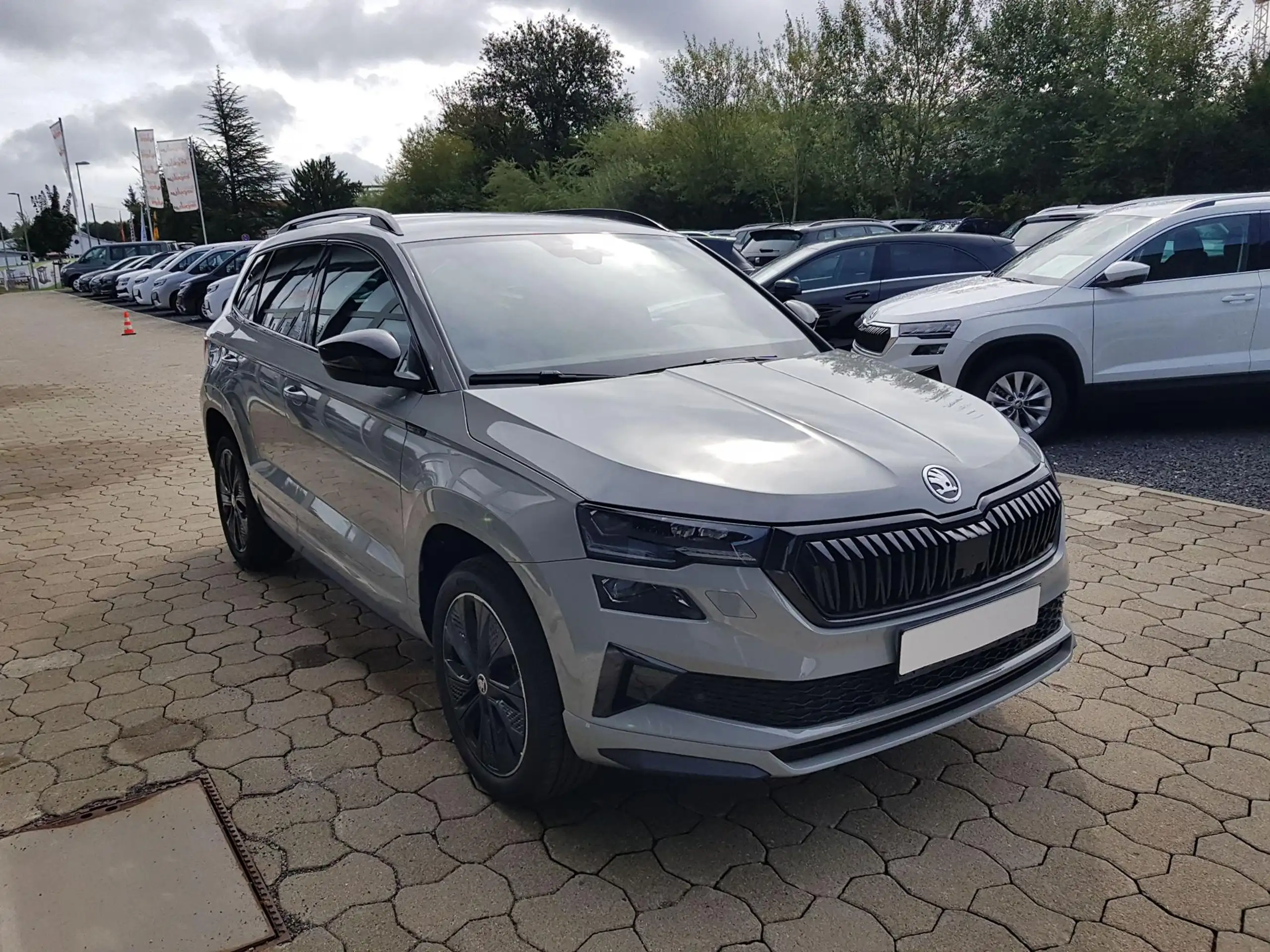 Skoda - Karoq