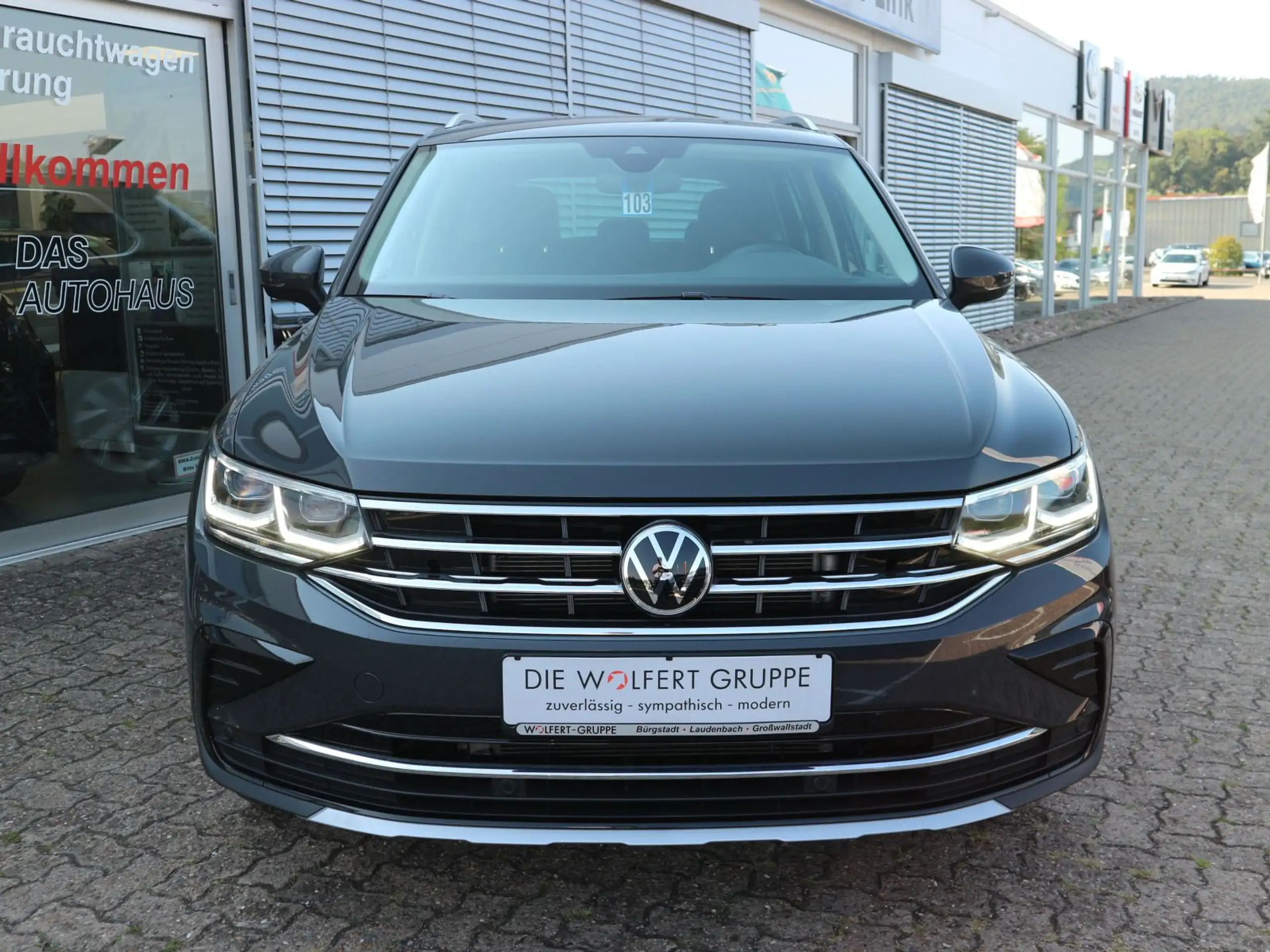 Volkswagen - Tiguan