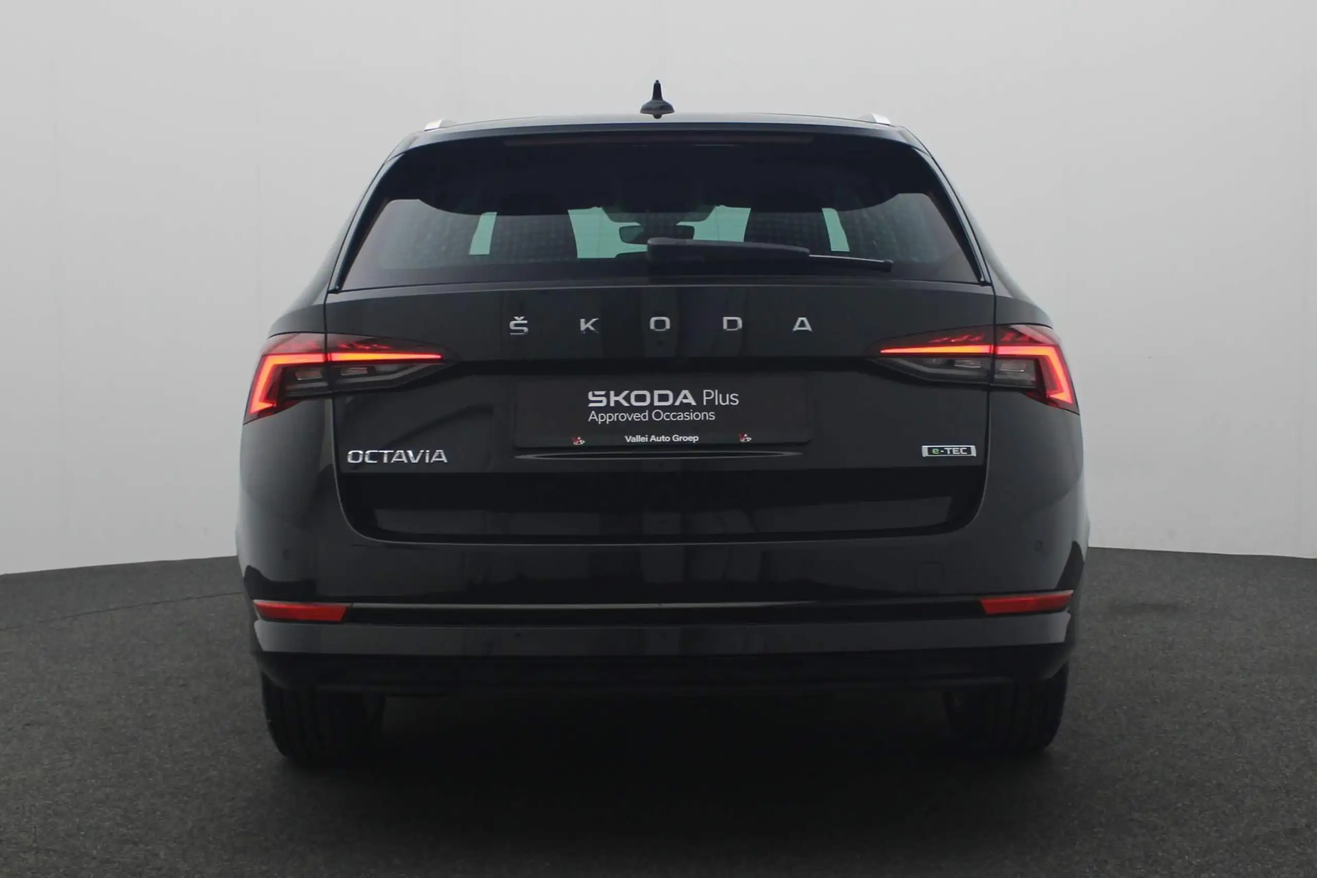 Skoda - Octavia