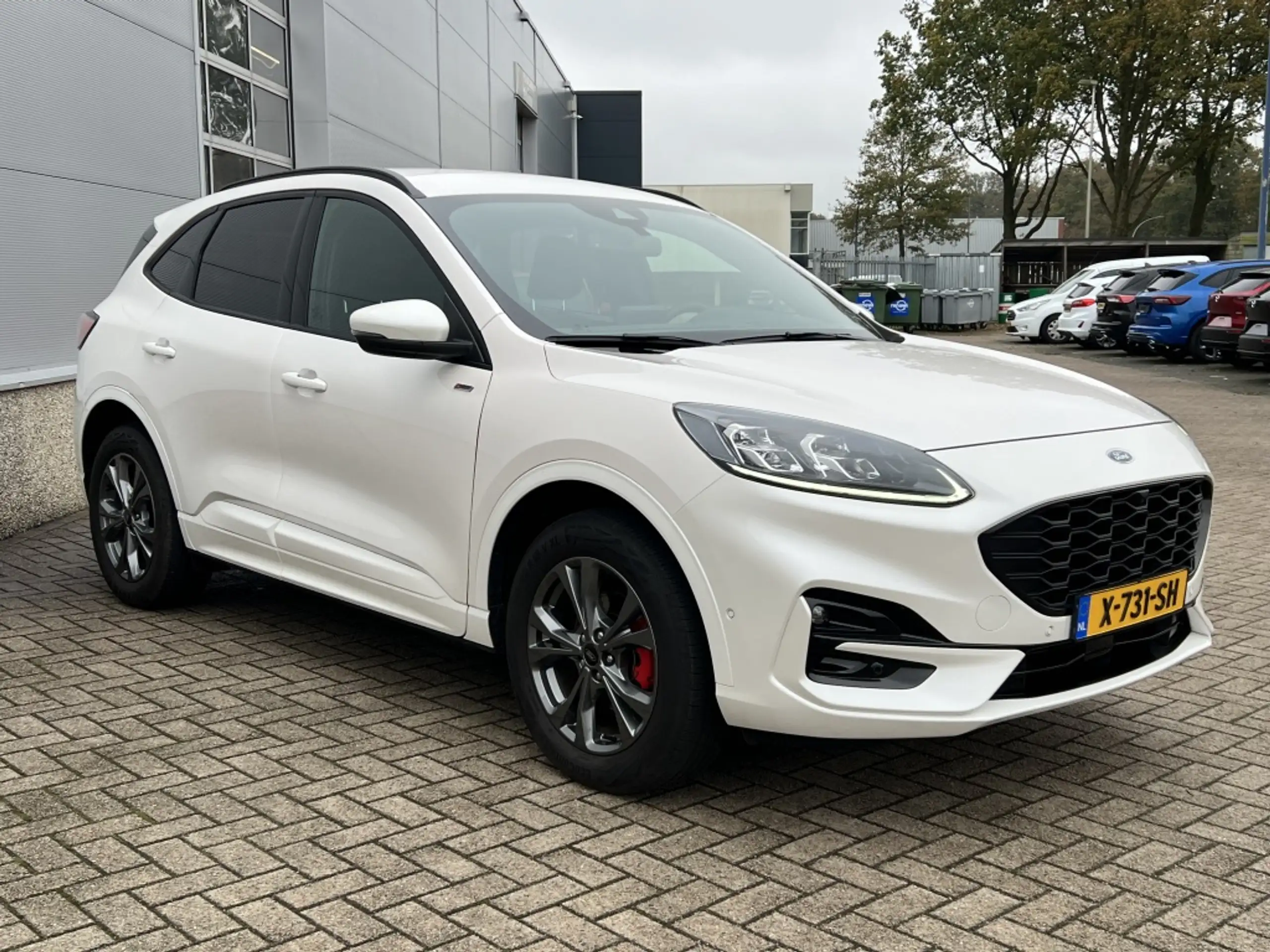 Ford - Kuga