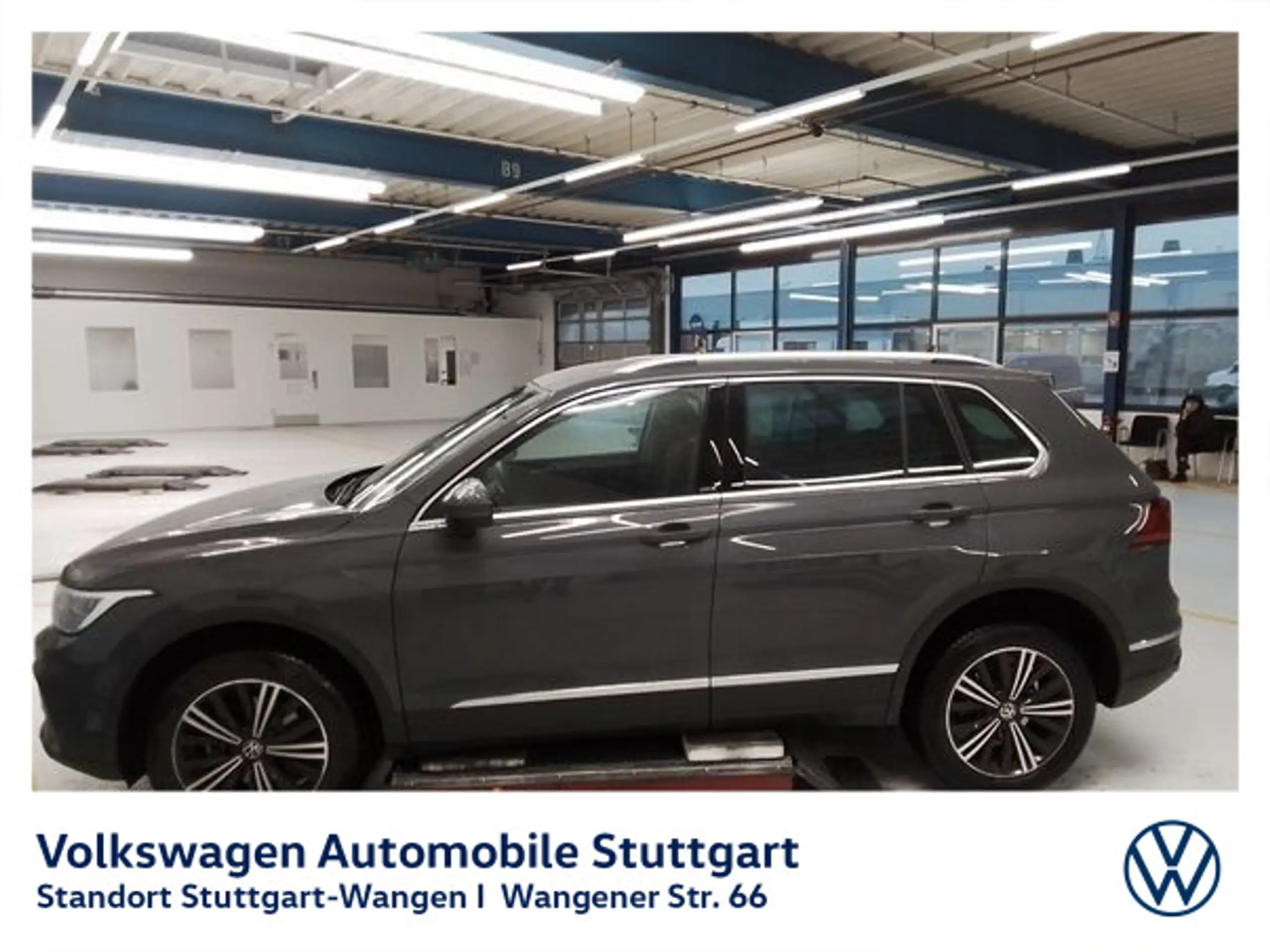 Volkswagen - Tiguan