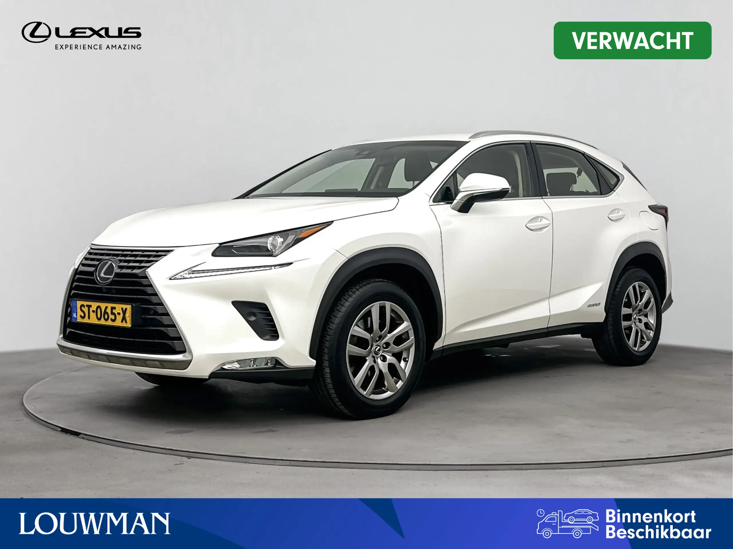 Lexus - NX 300h