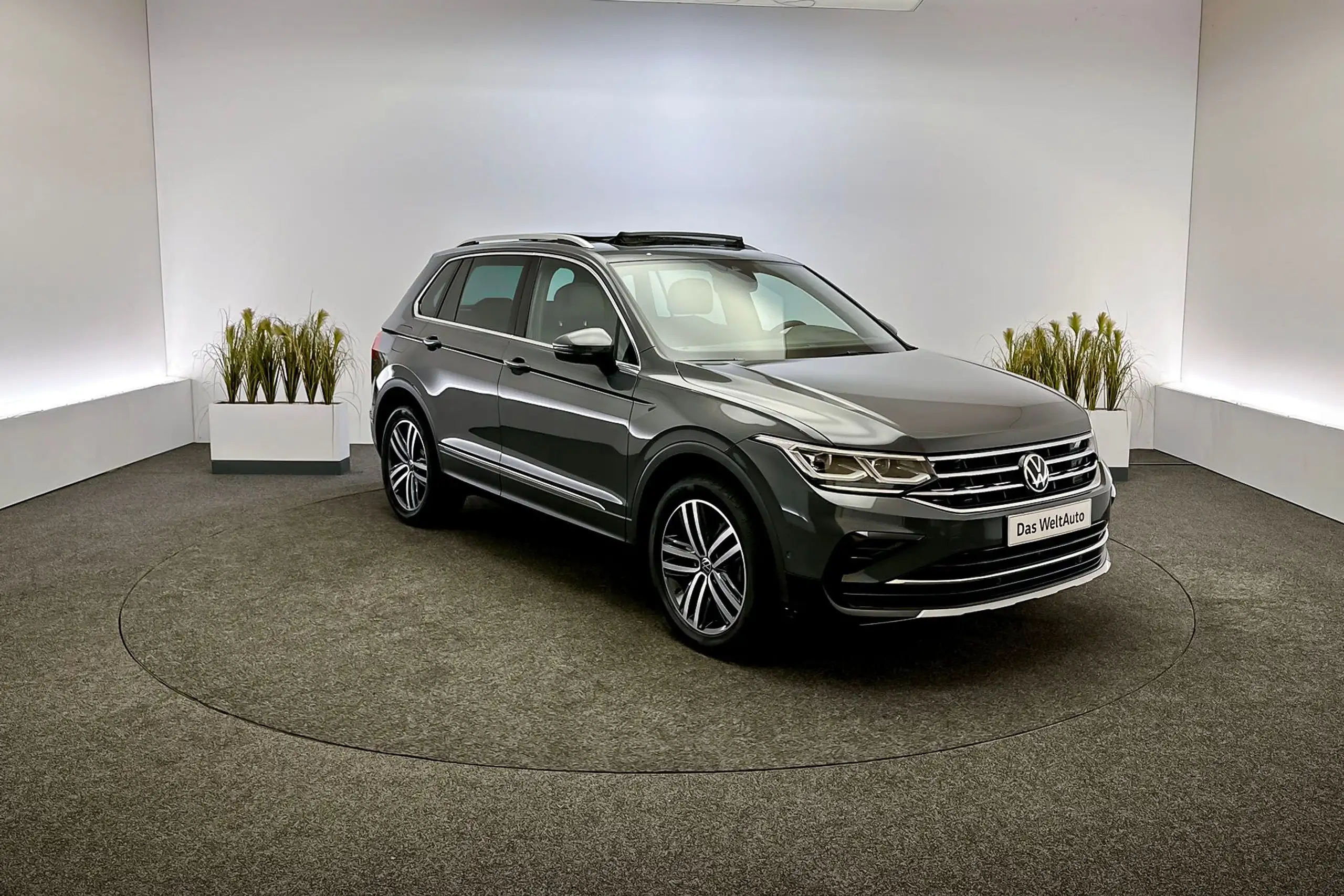 Volkswagen - Tiguan