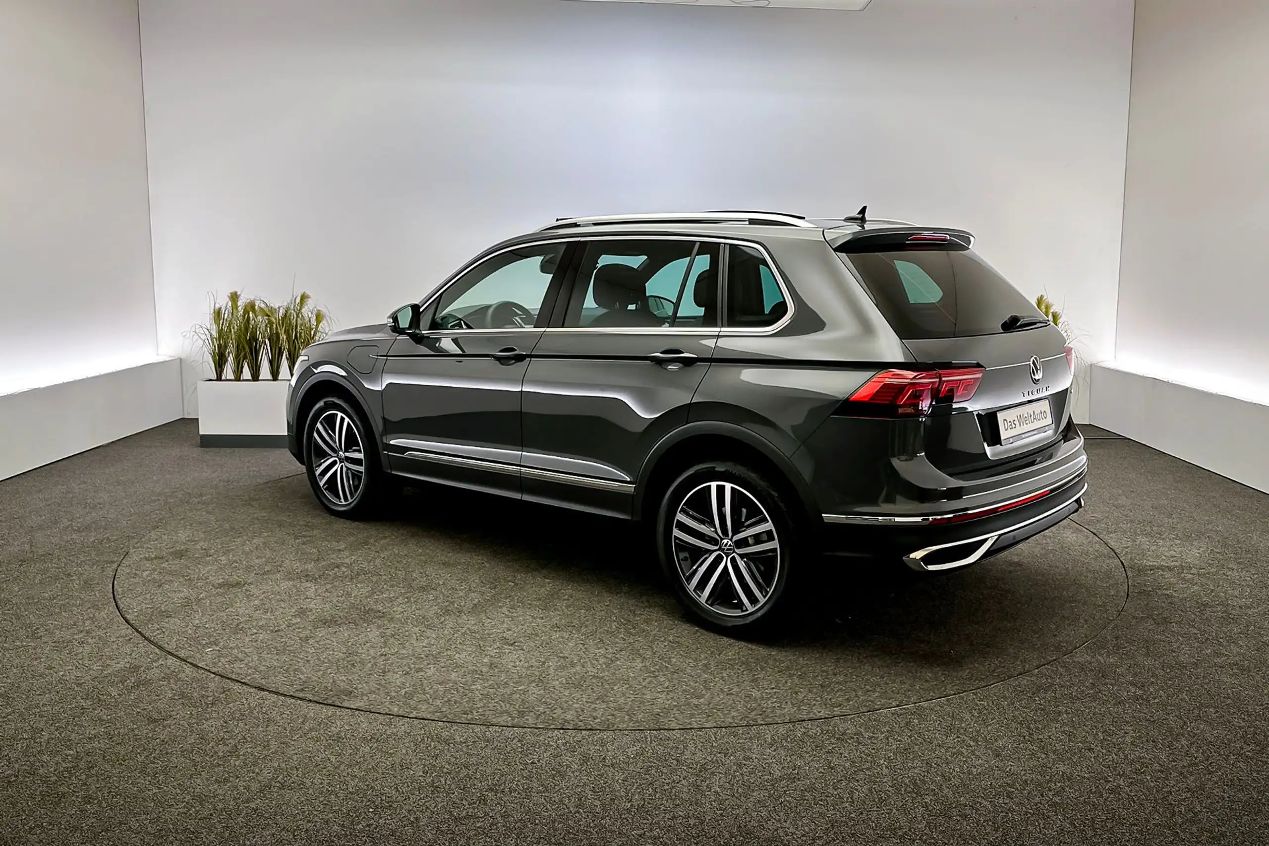 Volkswagen - Tiguan