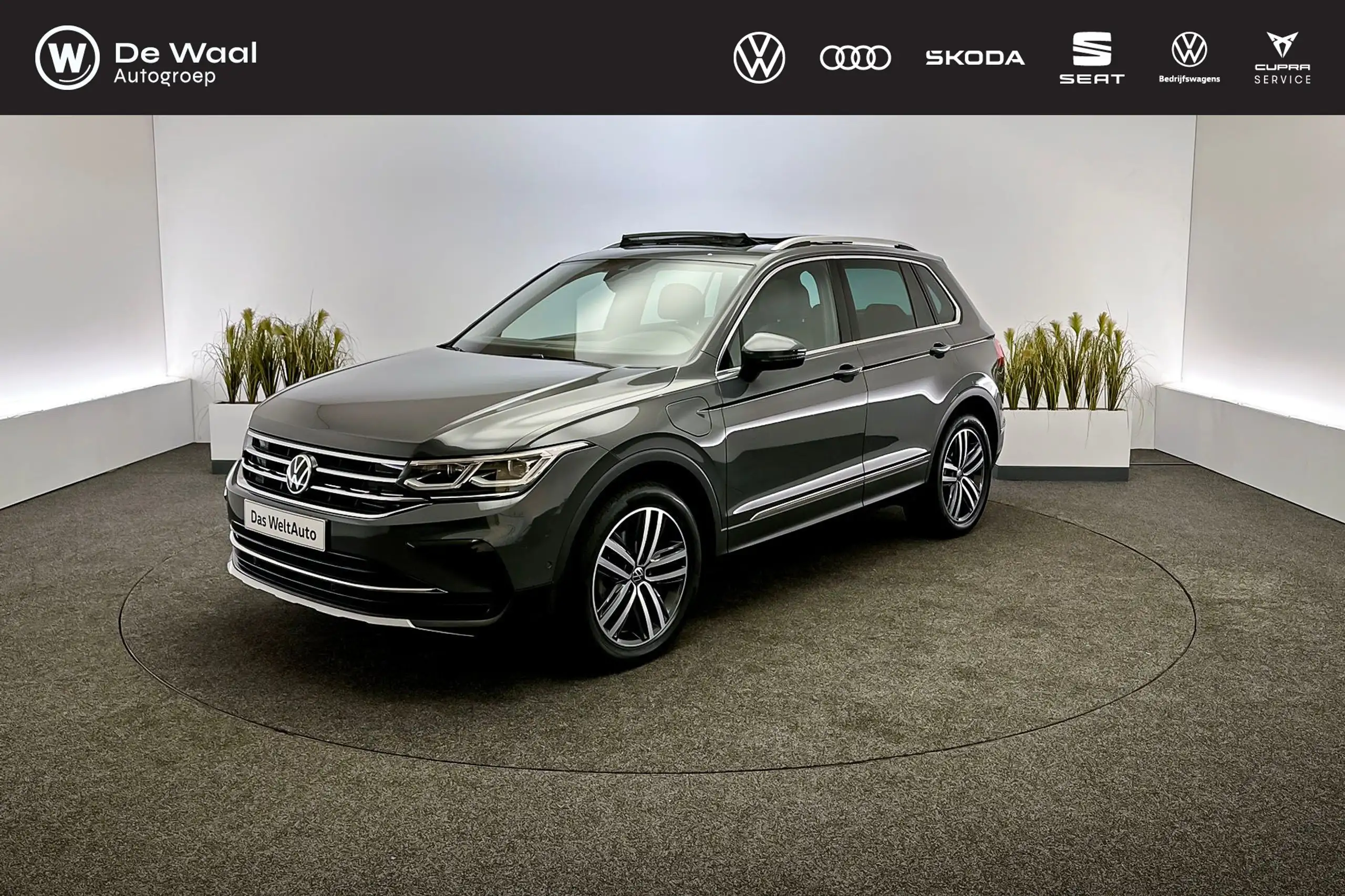 Volkswagen - Tiguan