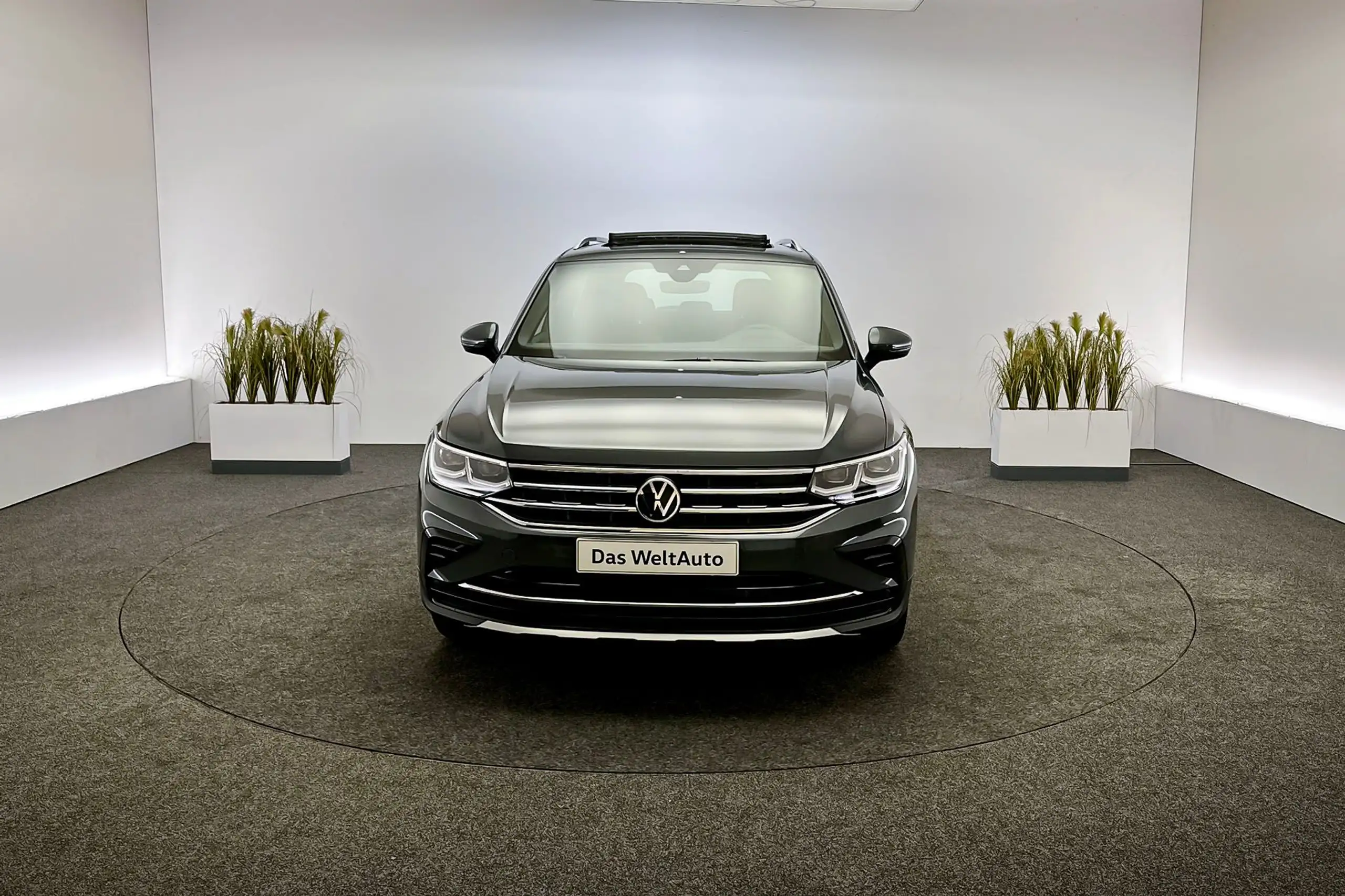 Volkswagen - Tiguan