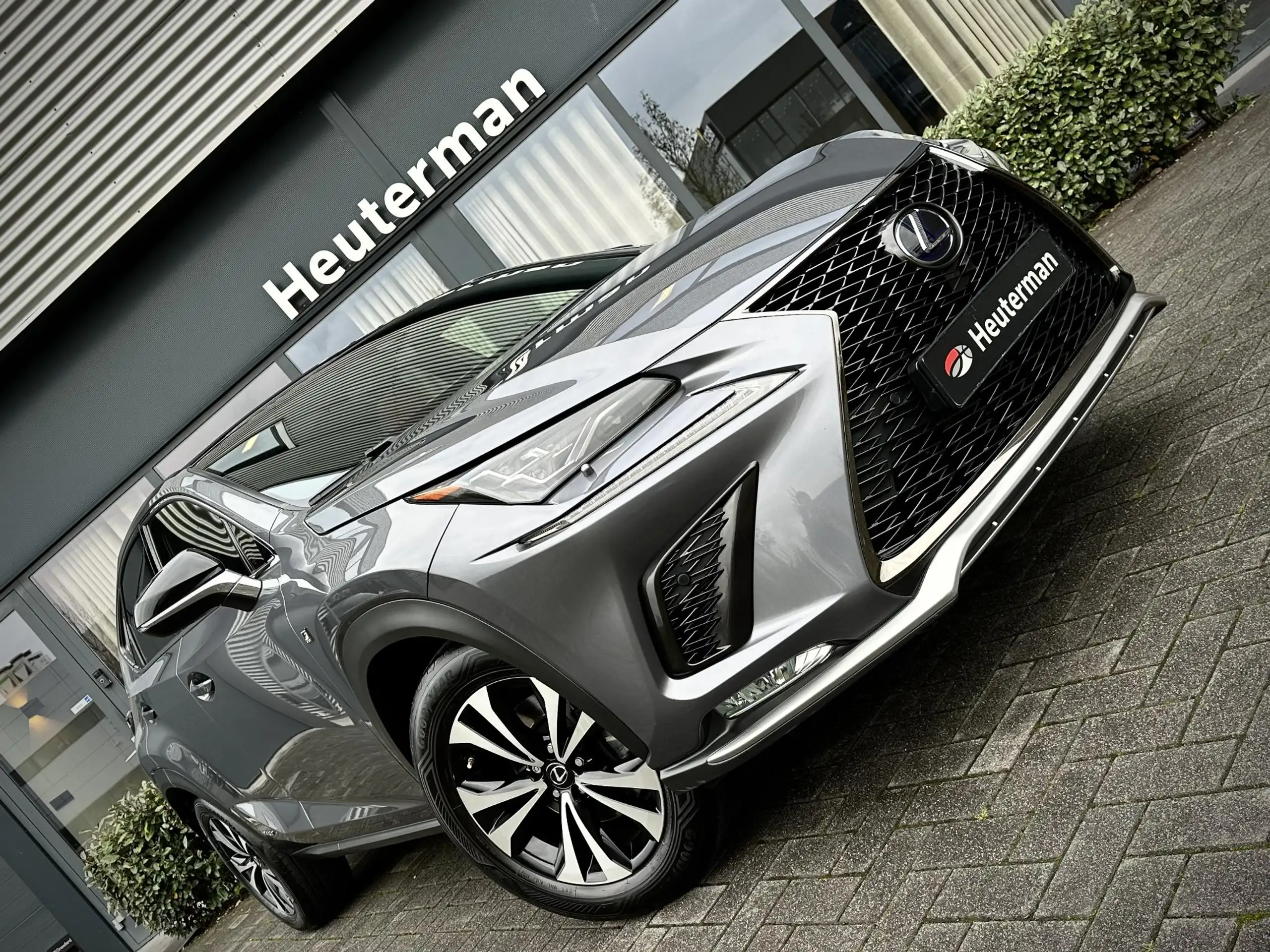 Lexus - NX 300h