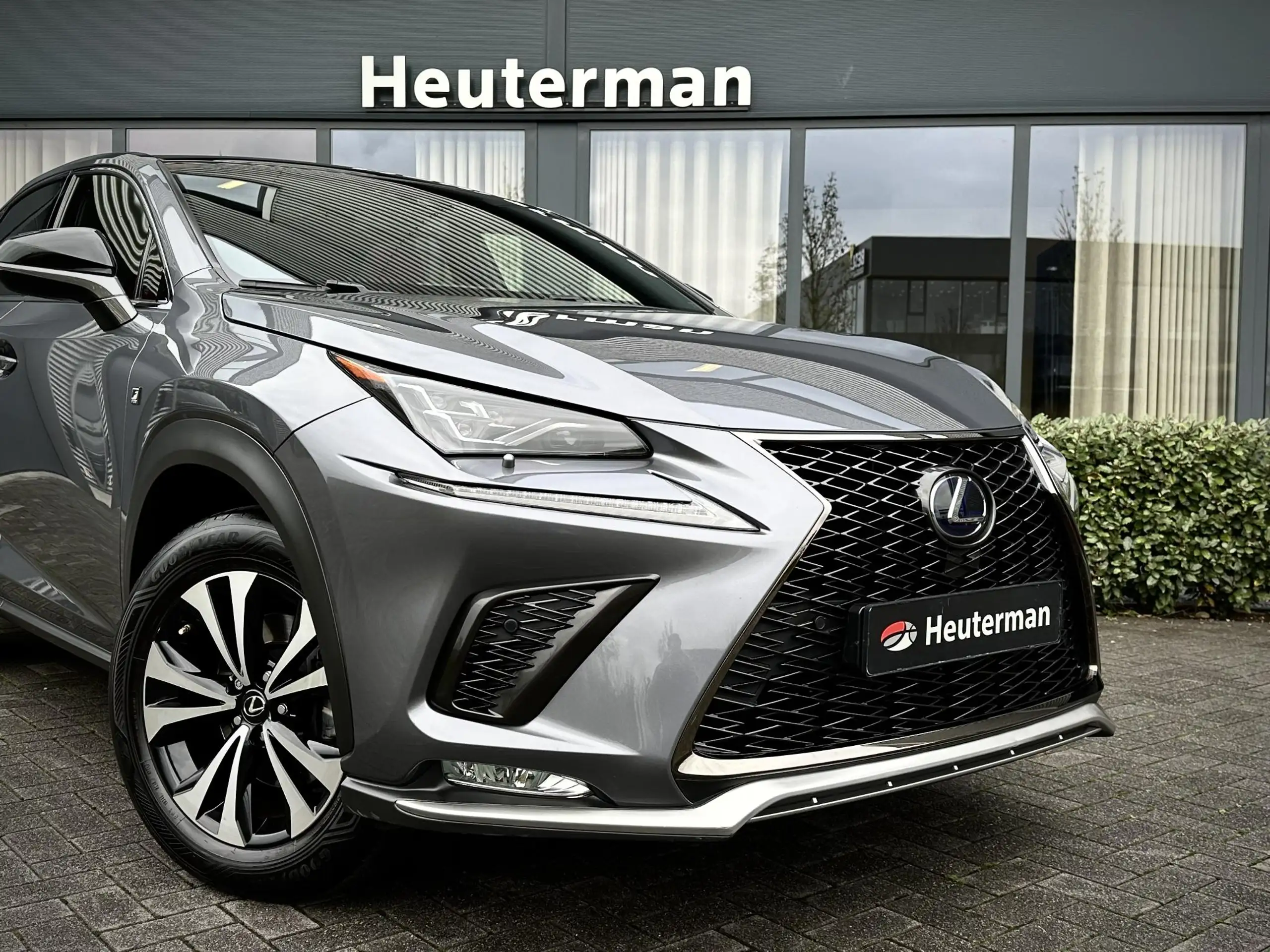 Lexus - NX 300h