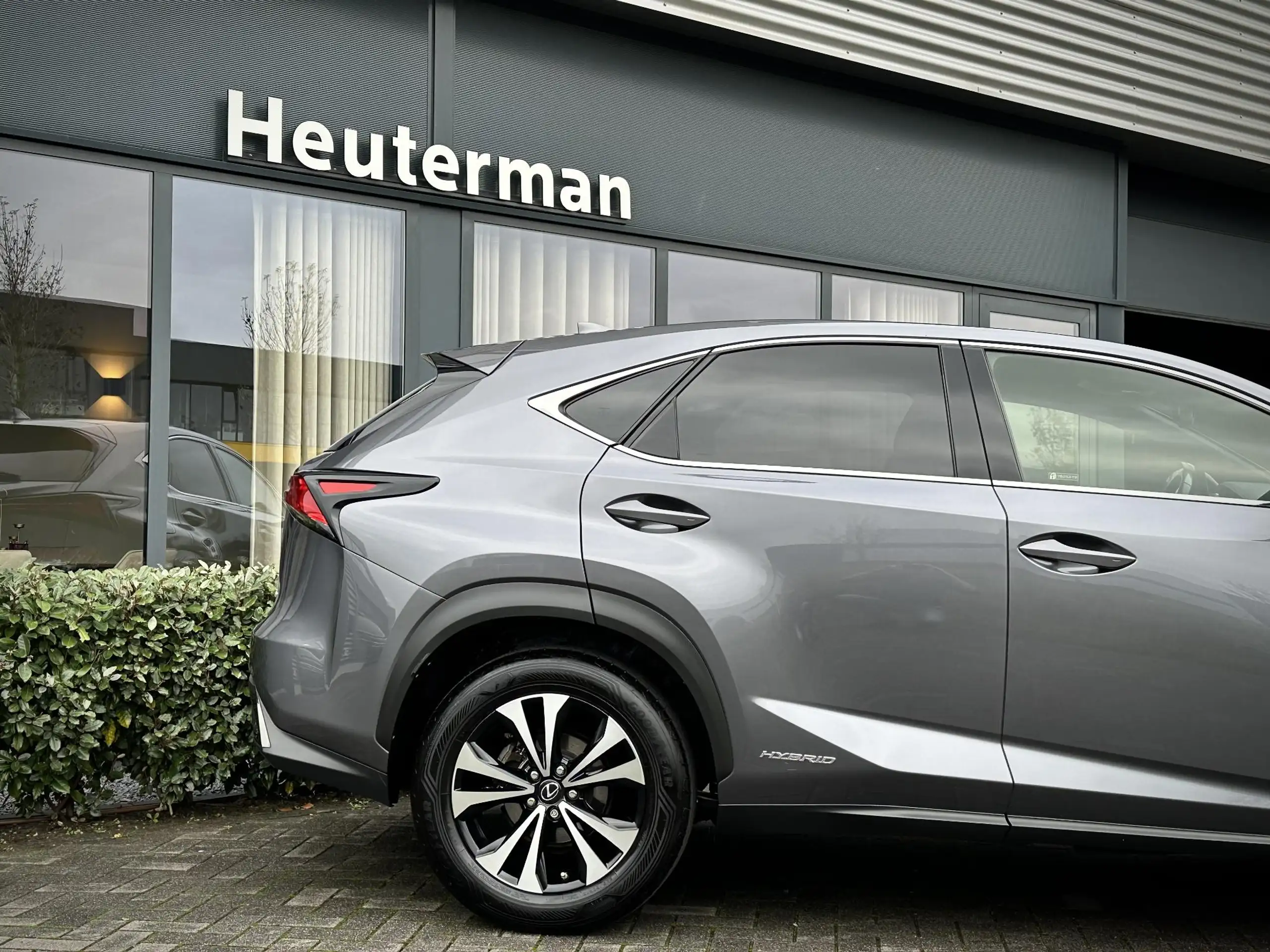 Lexus - NX 300h