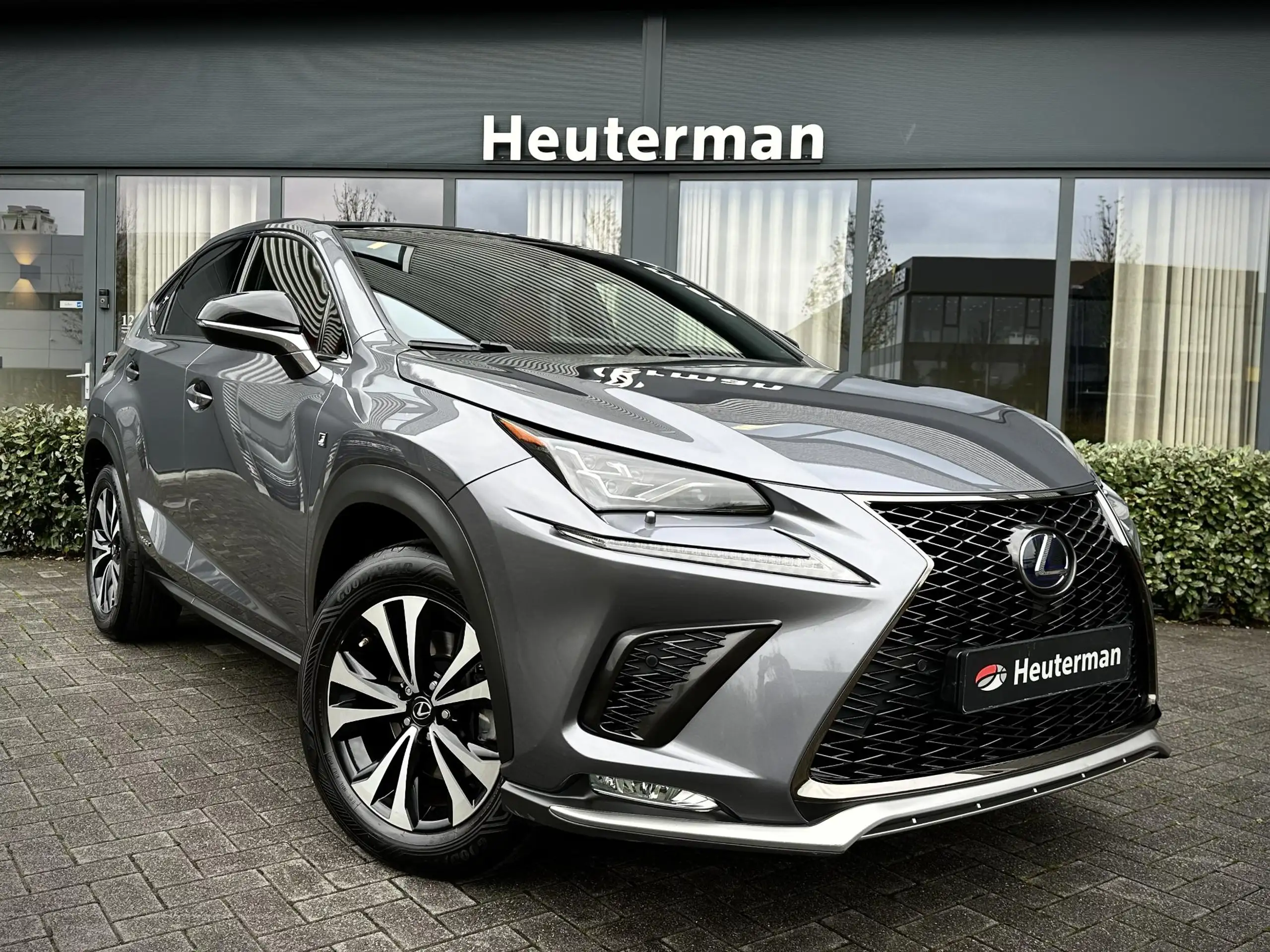 Lexus - NX 300h