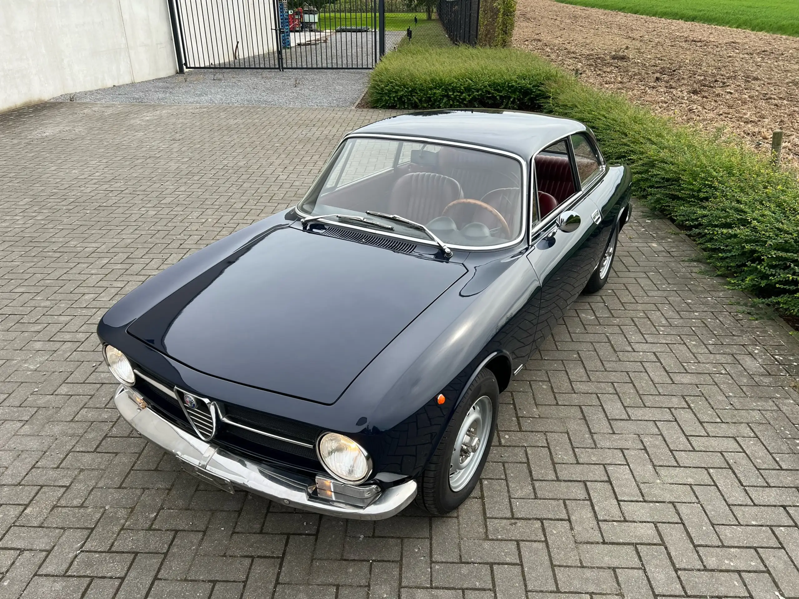 Alfa Romeo - GT