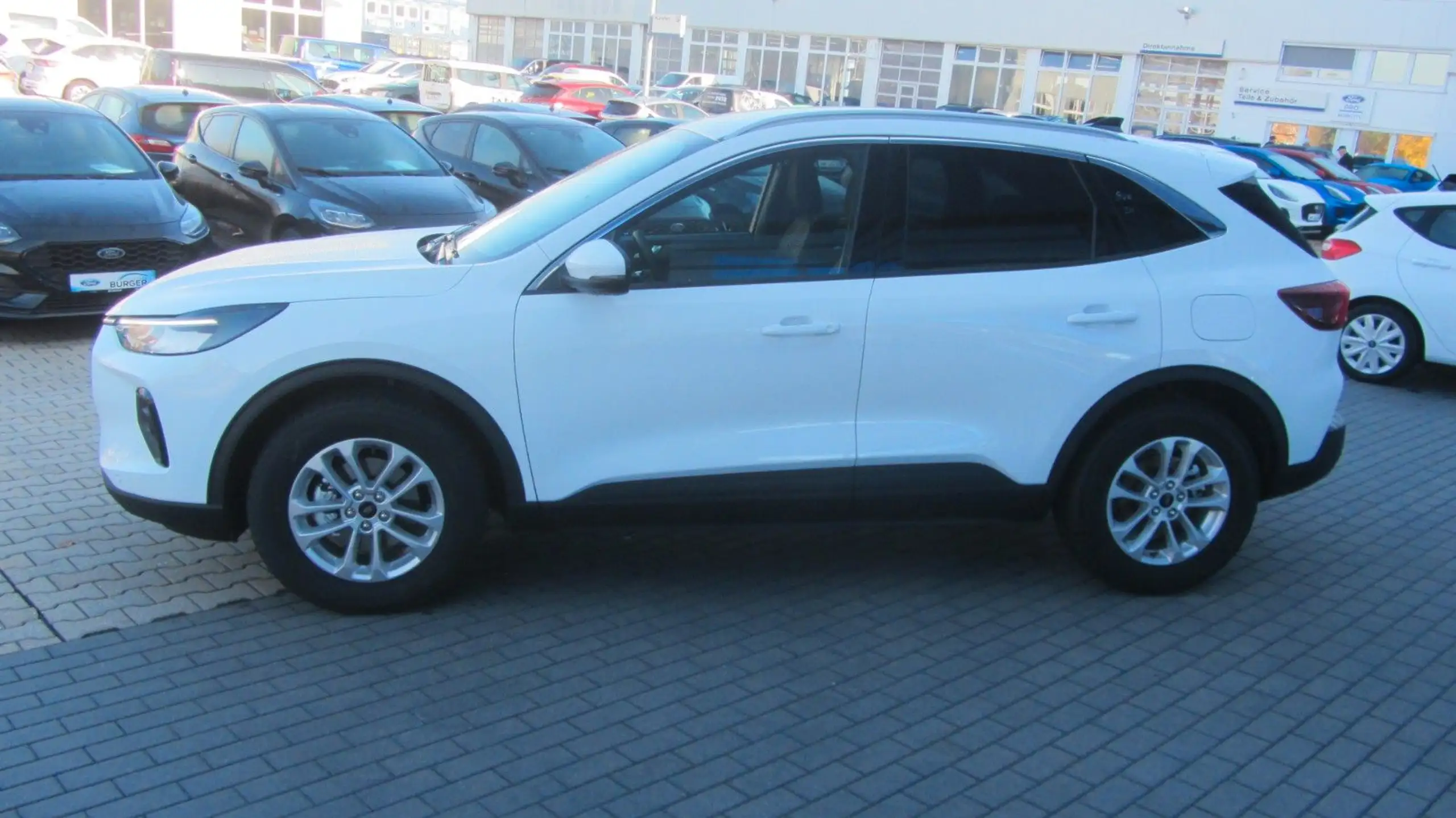 Ford - Kuga