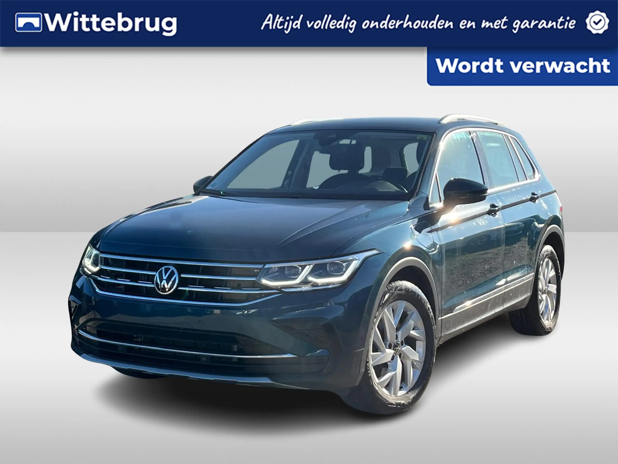 Volkswagen - Tiguan