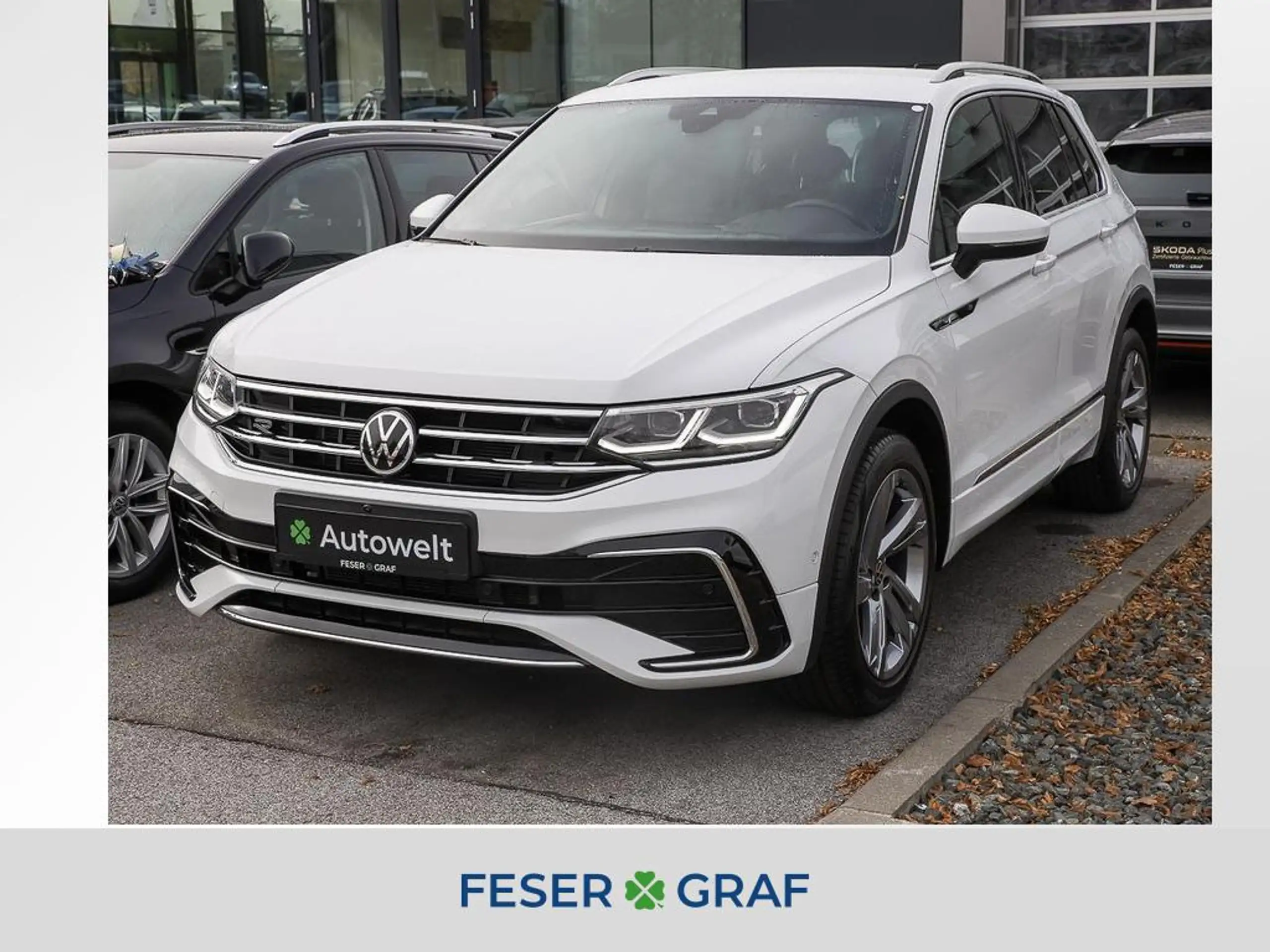 Volkswagen - Tiguan