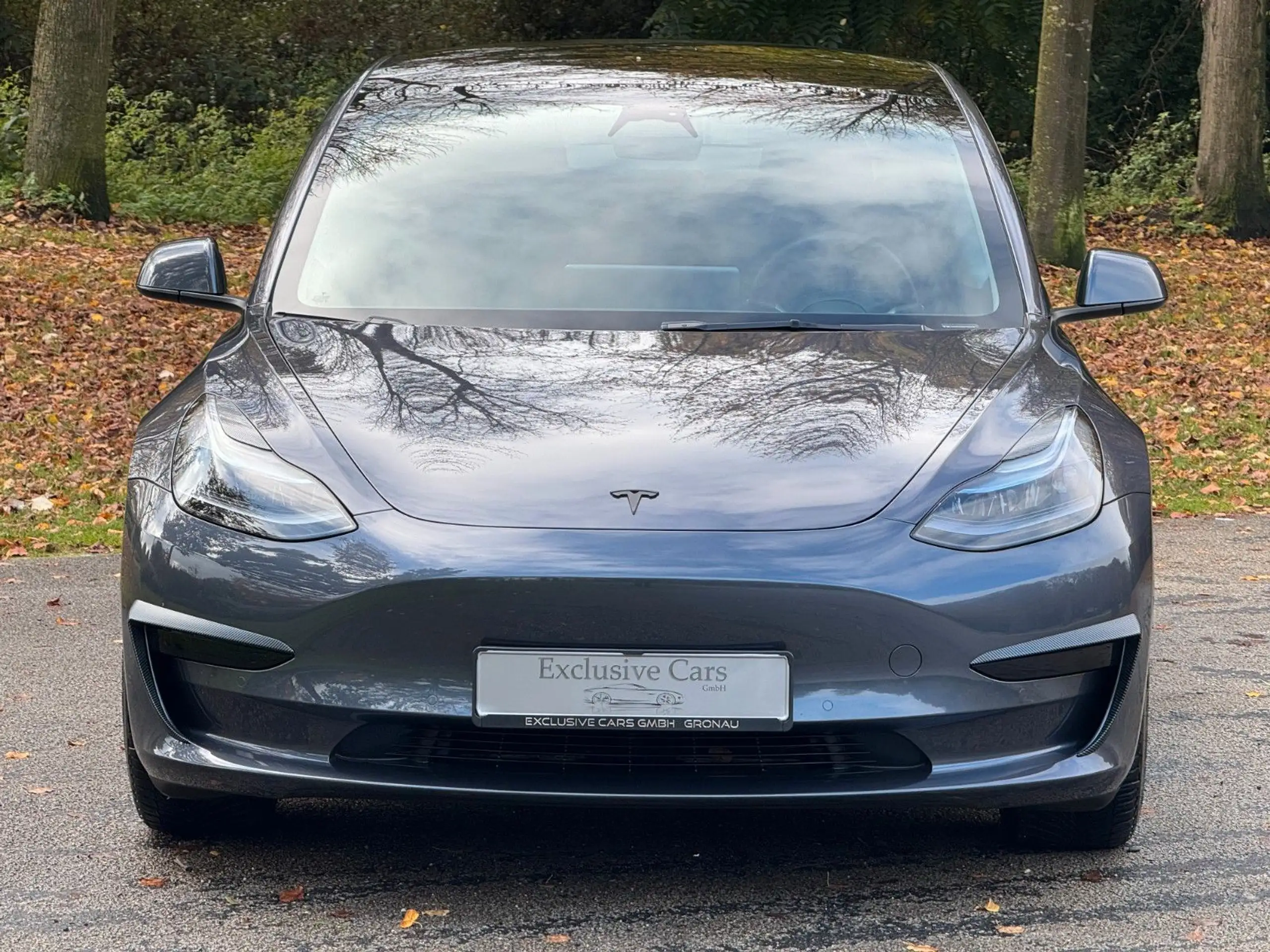 Tesla - Model 3