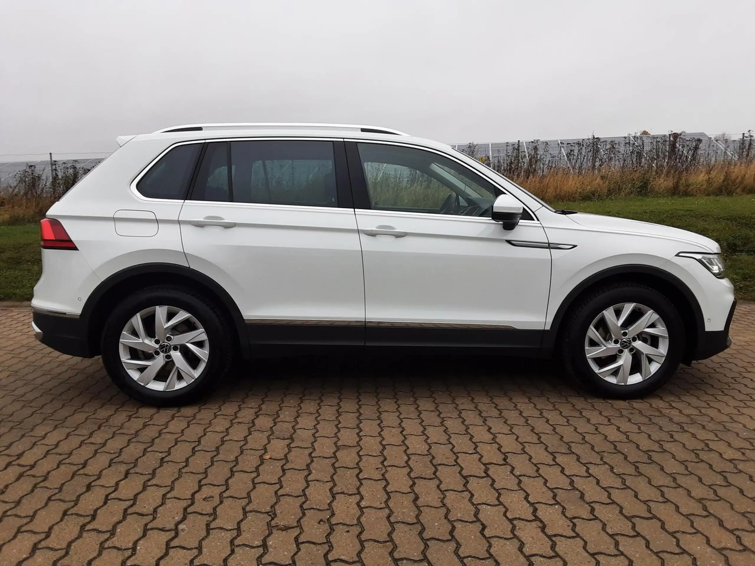 Volkswagen - Tiguan