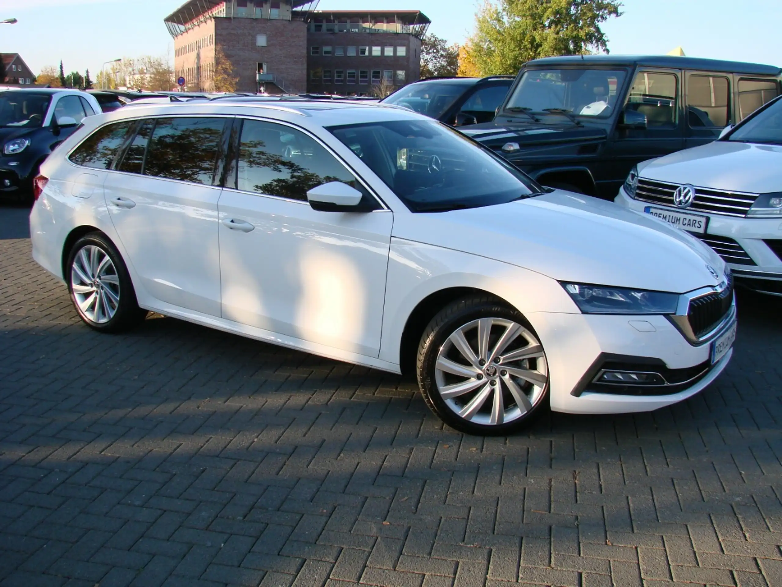 Skoda - Octavia