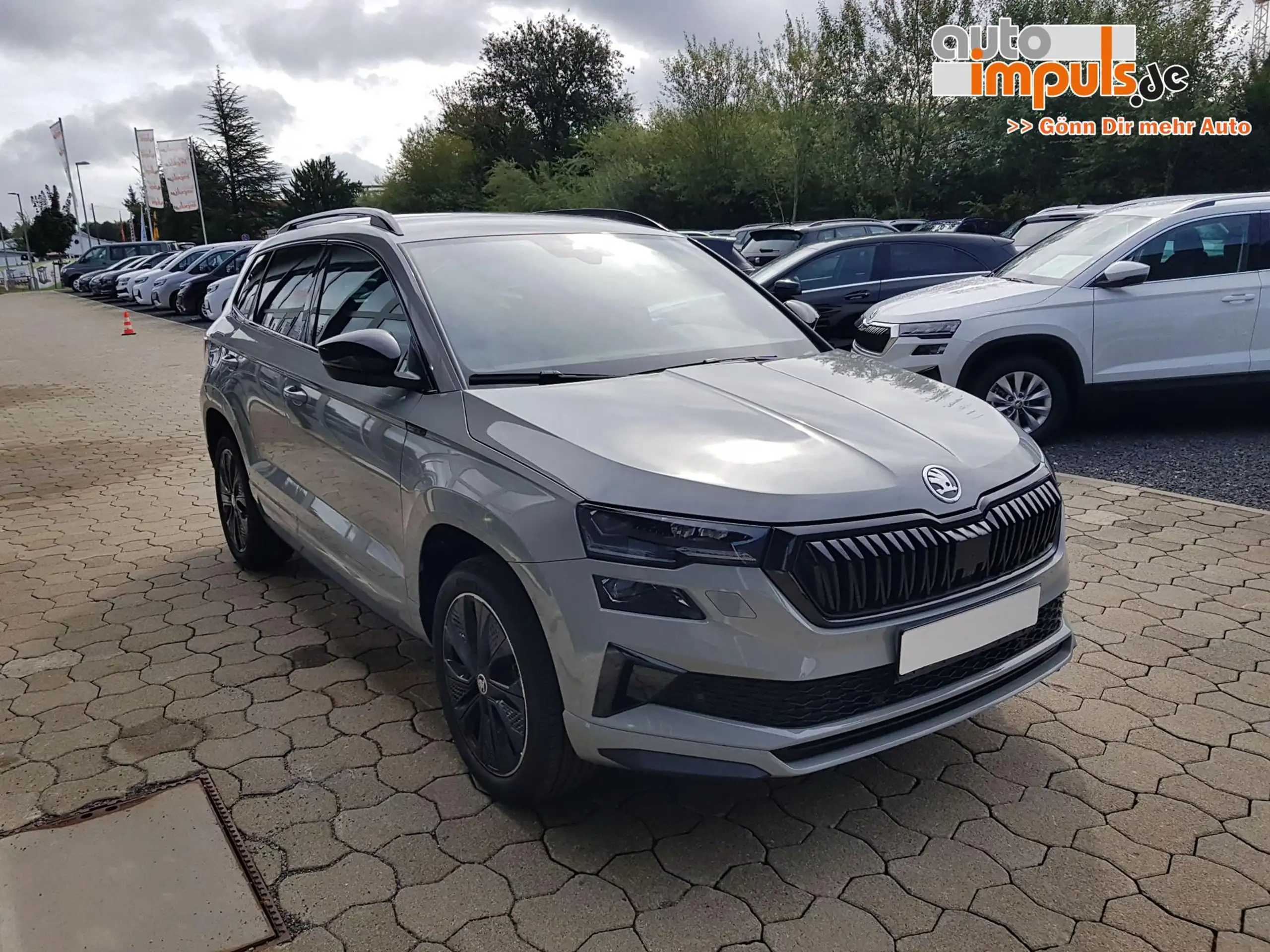 Skoda - Karoq