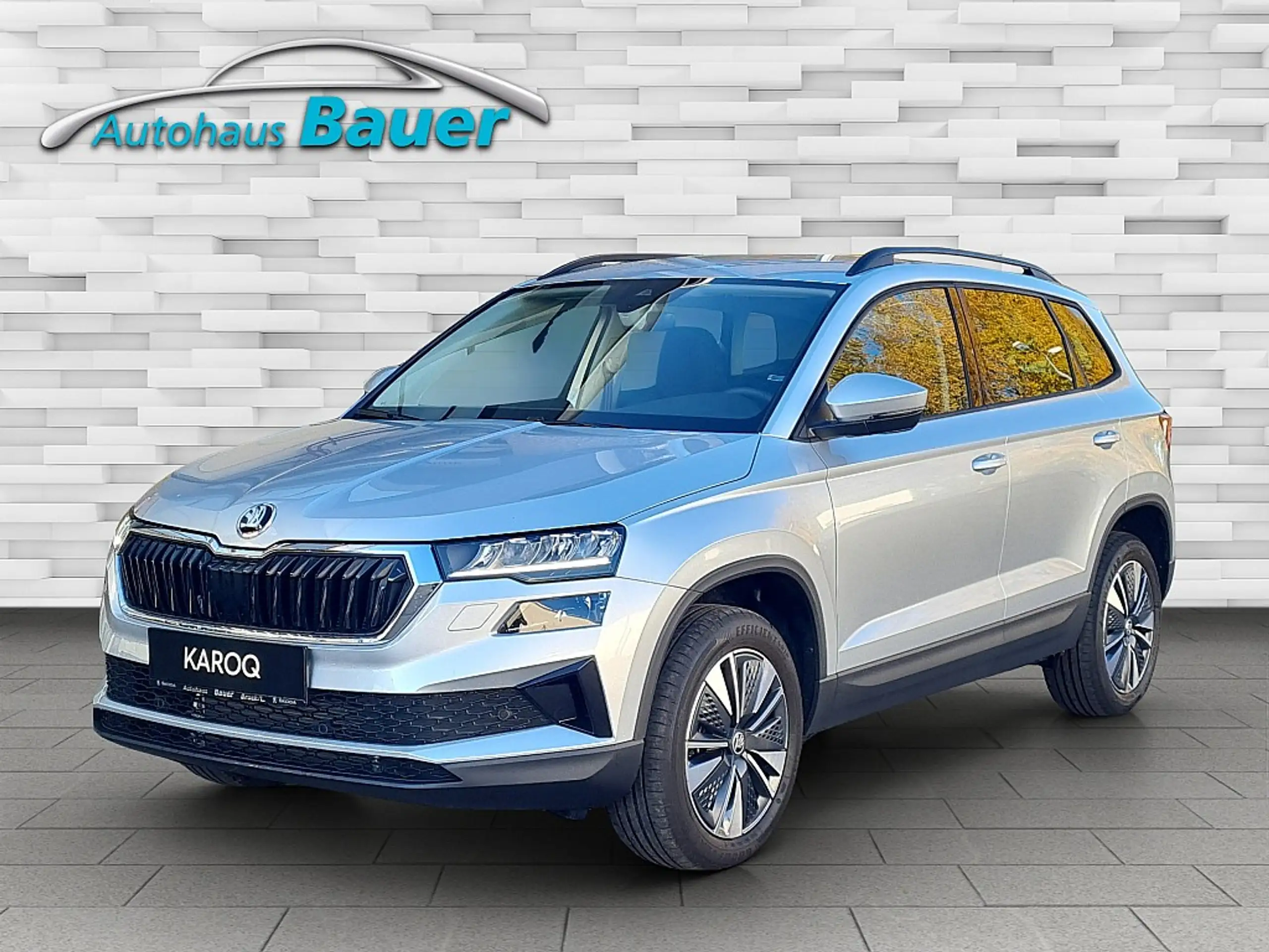 Skoda - Karoq