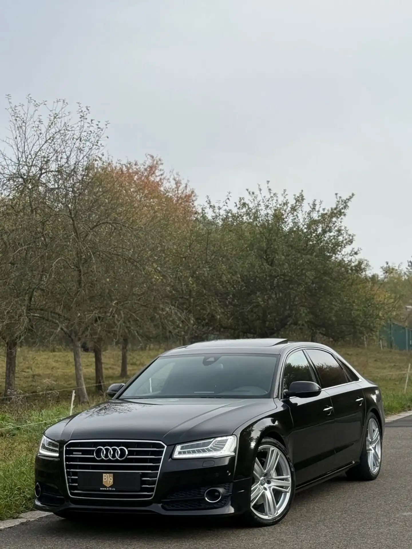 Audi - A8