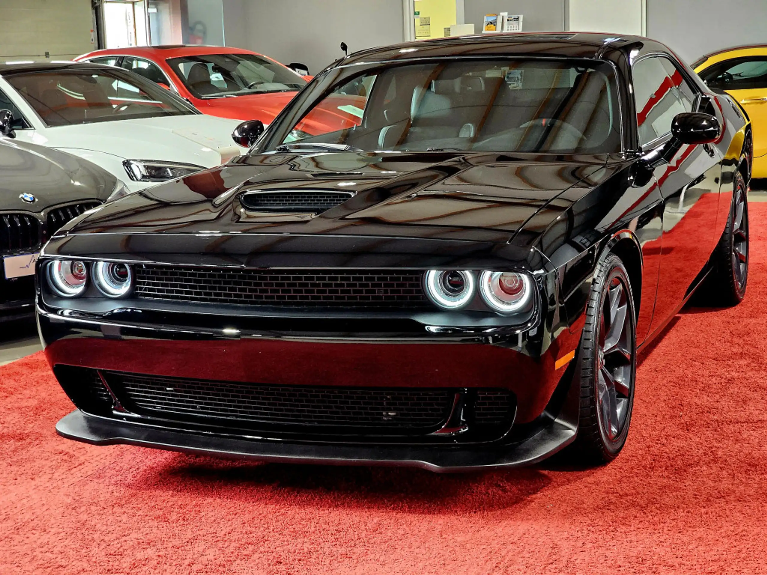 Dodge - Challenger